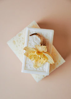 Elegant Goat Milk & Pearl Beauty Soap resting on a botanical green leaf with soft ivory fabric in the background.