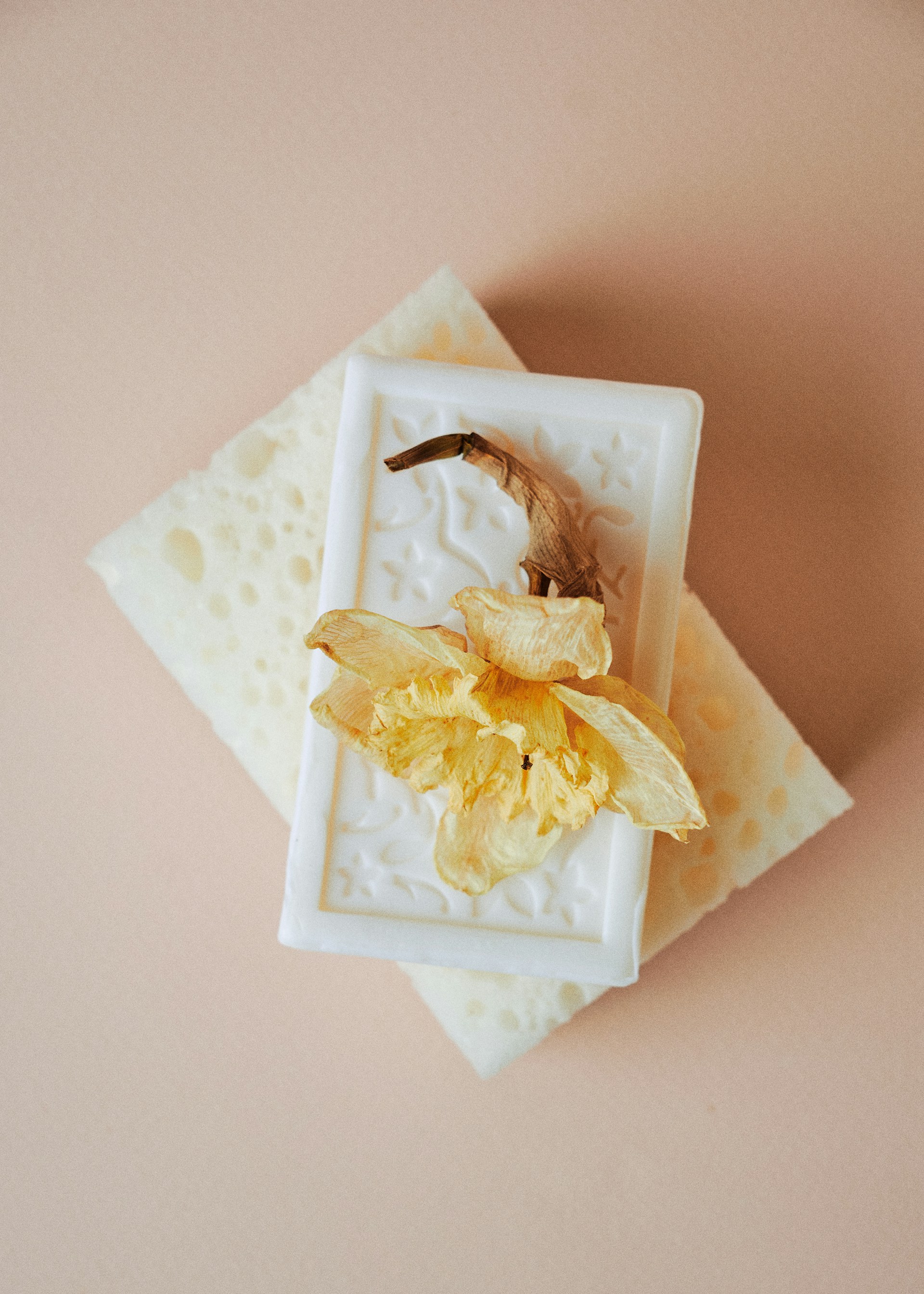 a yellow flower sitting on top of a white plate