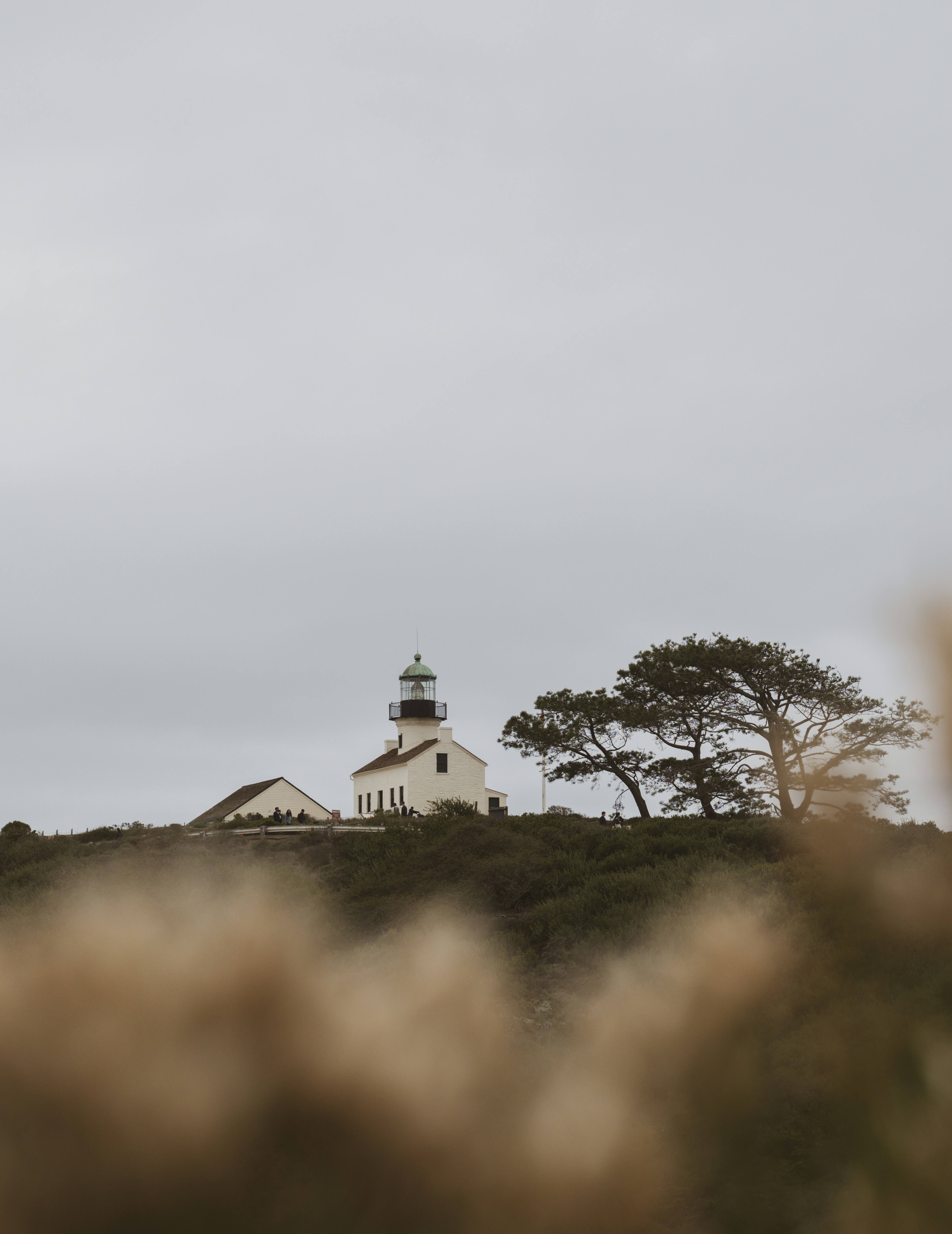Photo by faitheraser