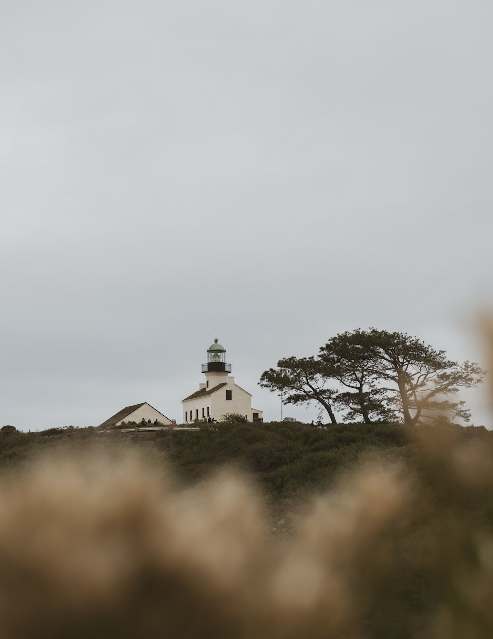 a lighthouse on a hill with trees in the background