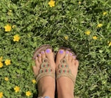 Feet with purple-painted toenails are wearing ornate sandals on grass surrounded by small yellow flowers.