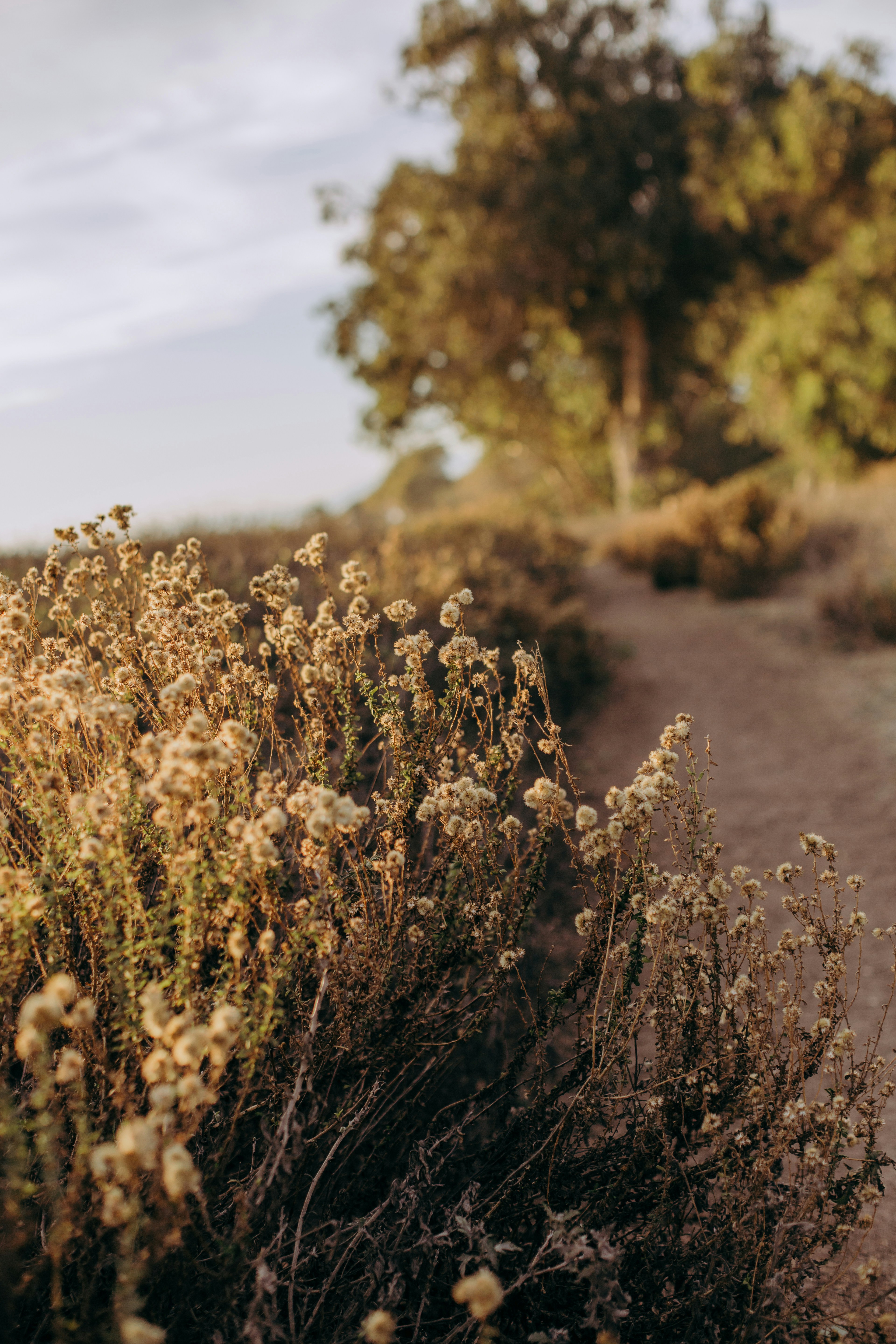 Photo by shandi_nicole_creative