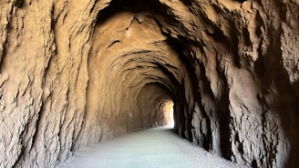 An intricate tunnel entrance carved into rugged mountainside.