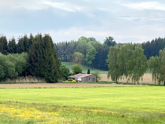 A rustic wooden shed with a corrugated metal roof is surrounded by lush trees in a serene countryside setting. The foreground features green fields with patches of yellow wildflowers, while dense forest and rolling hills serve as a scenic backdrop under a cloudy sky.