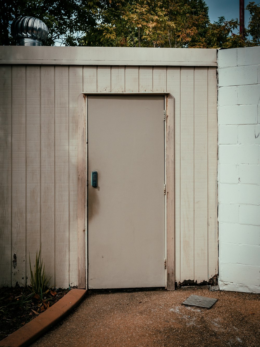 a white door in a white wall next to a plant