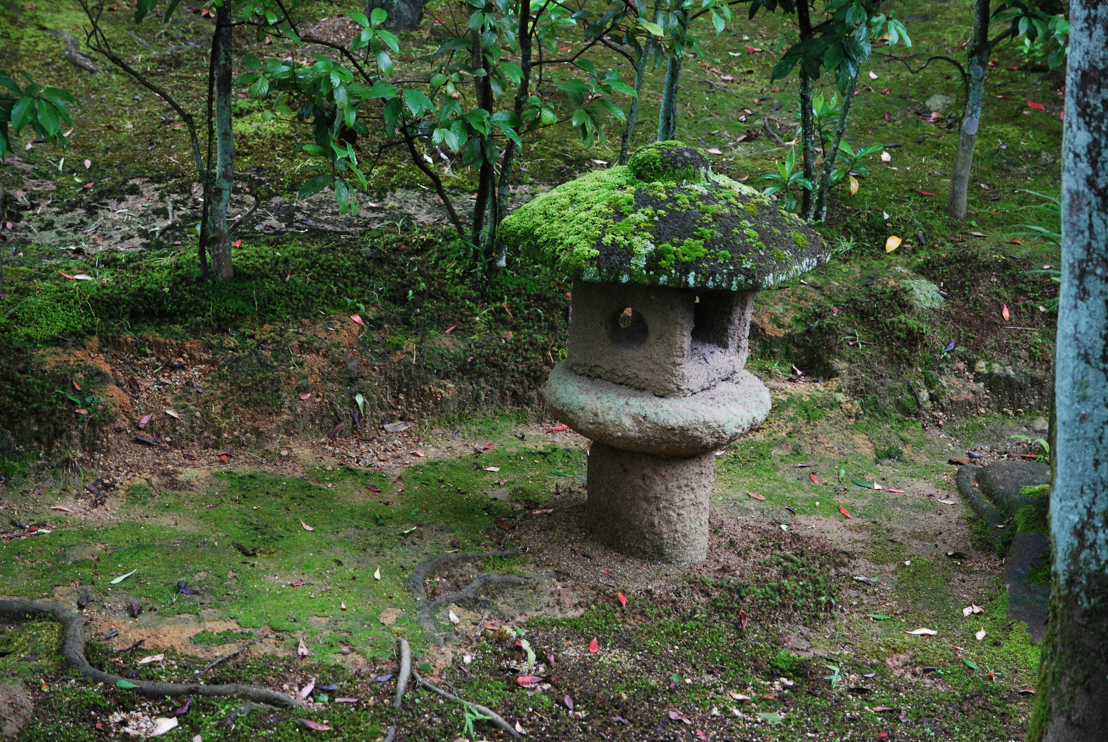 Photo by akiyo_ikeda