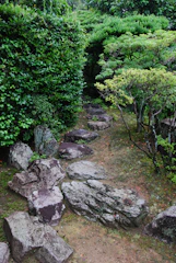 A serene backyard garden with winding stone paths and lush greenery.