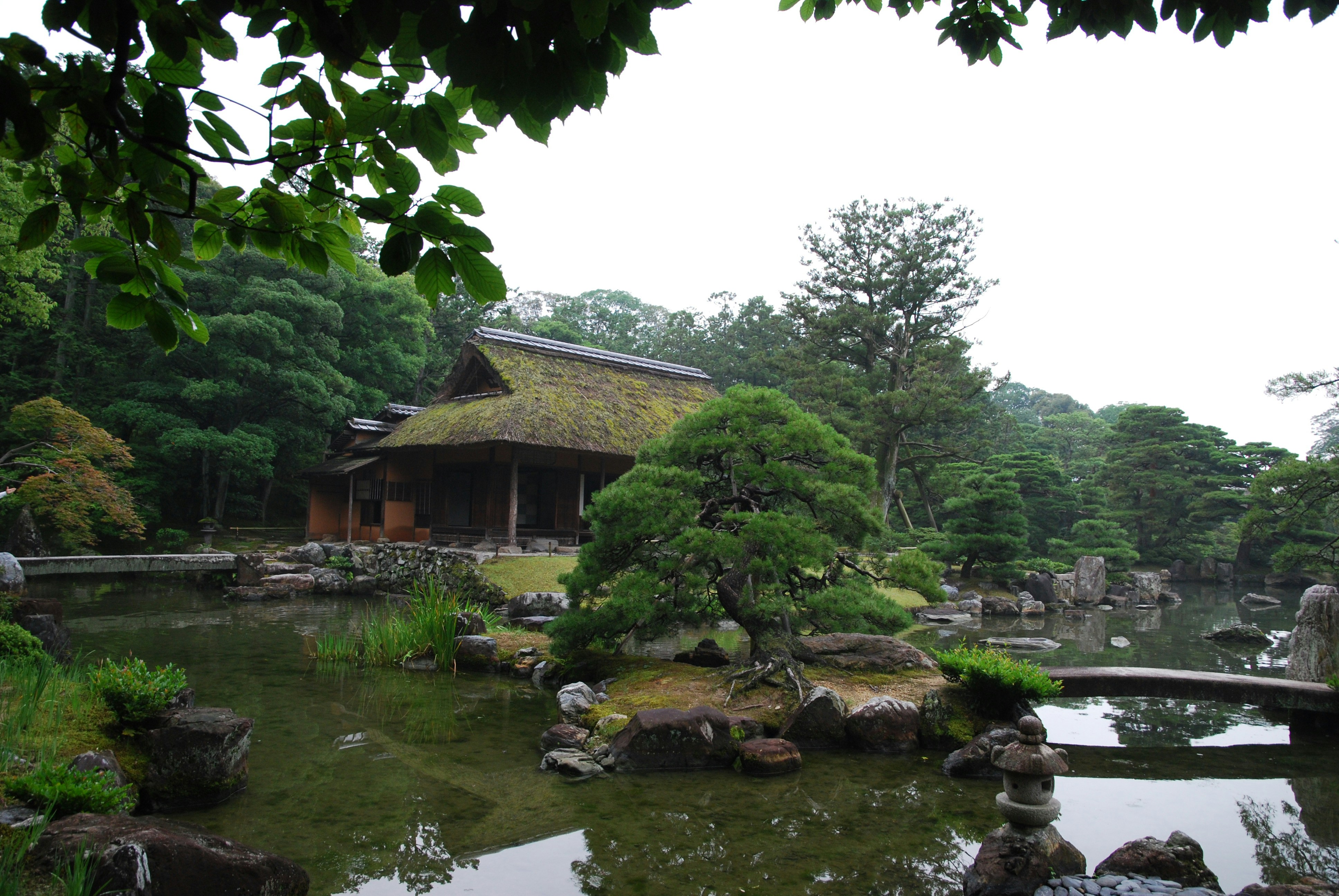 Photo by akiyo_ikeda