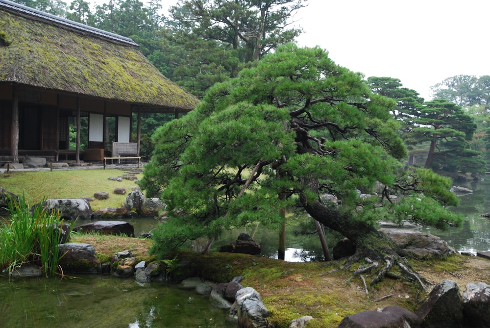 a small pond in front of a house with a thatched roof