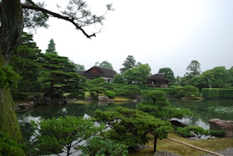 A serene Japanese garden with cherry blossoms framing a traditional wooden building, symbolizing calm and creativity.