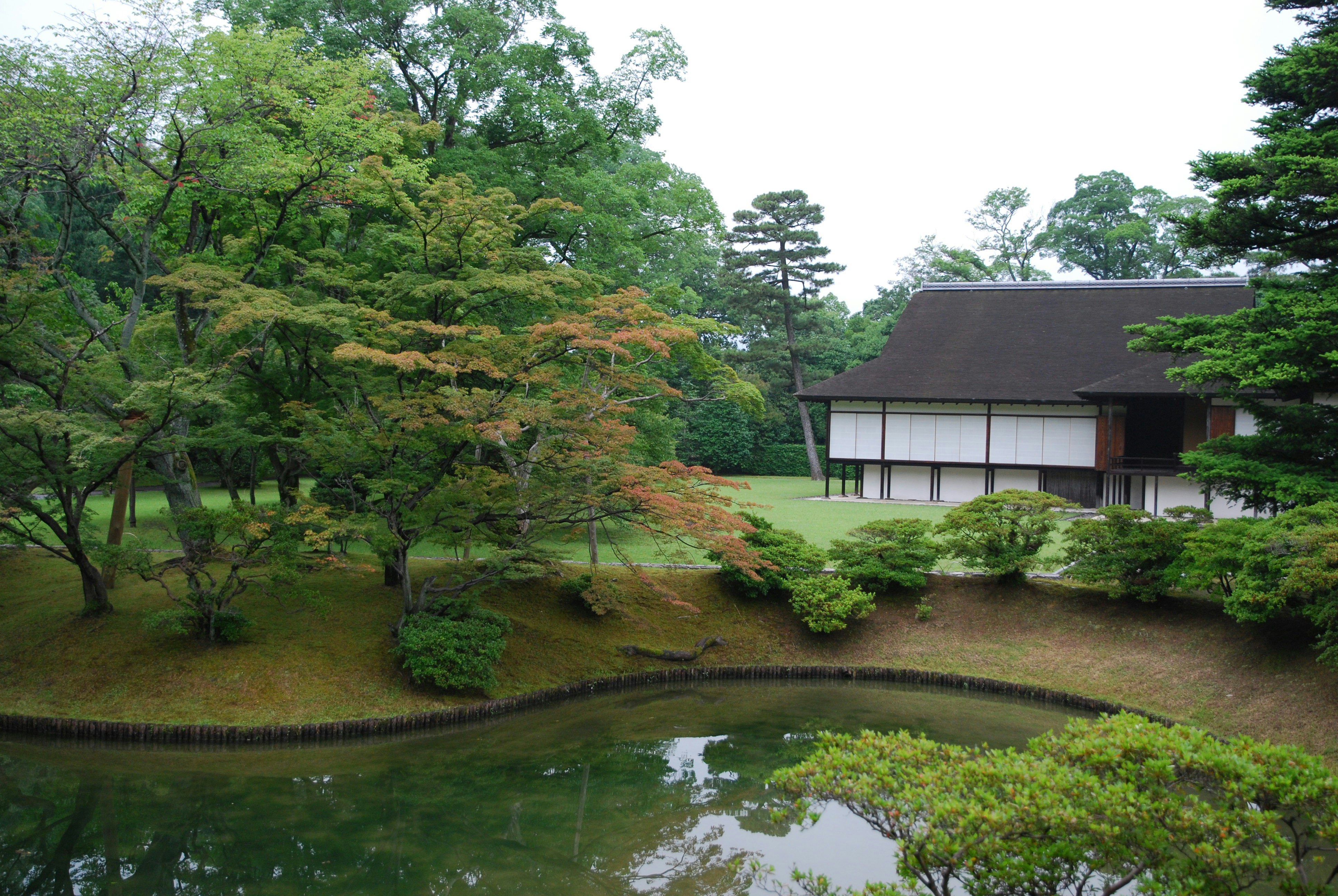 Photo by akiyo_ikeda