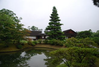 A serene Japanese garden with cherry blossom trees and a tranquil pond, symbolizing peace and wellness.