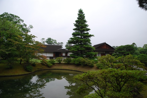A serene Japanese tea garden with lush greenery.