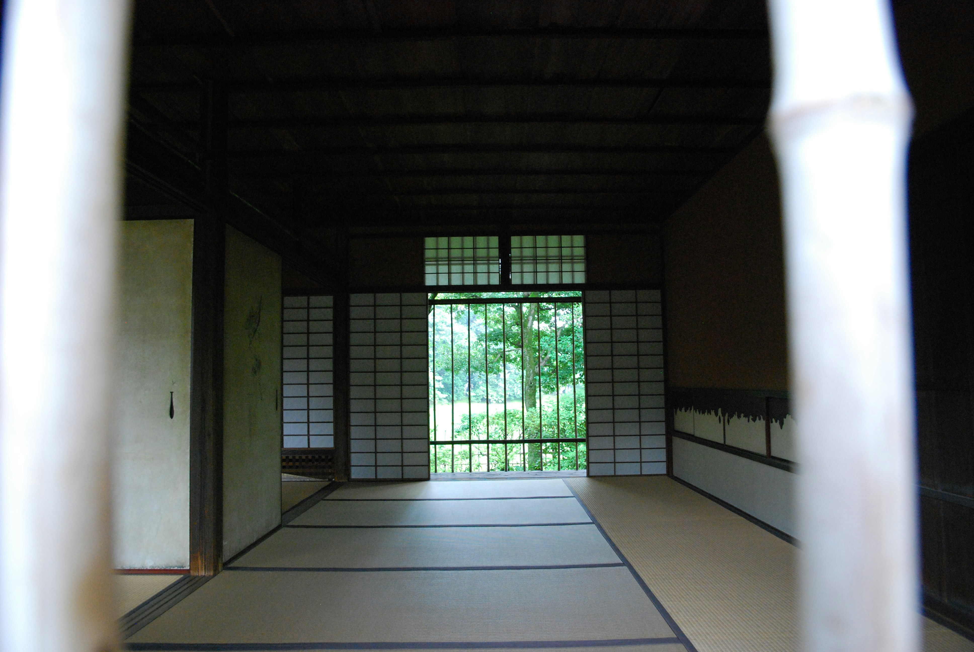 Photo by akiyo_ikeda