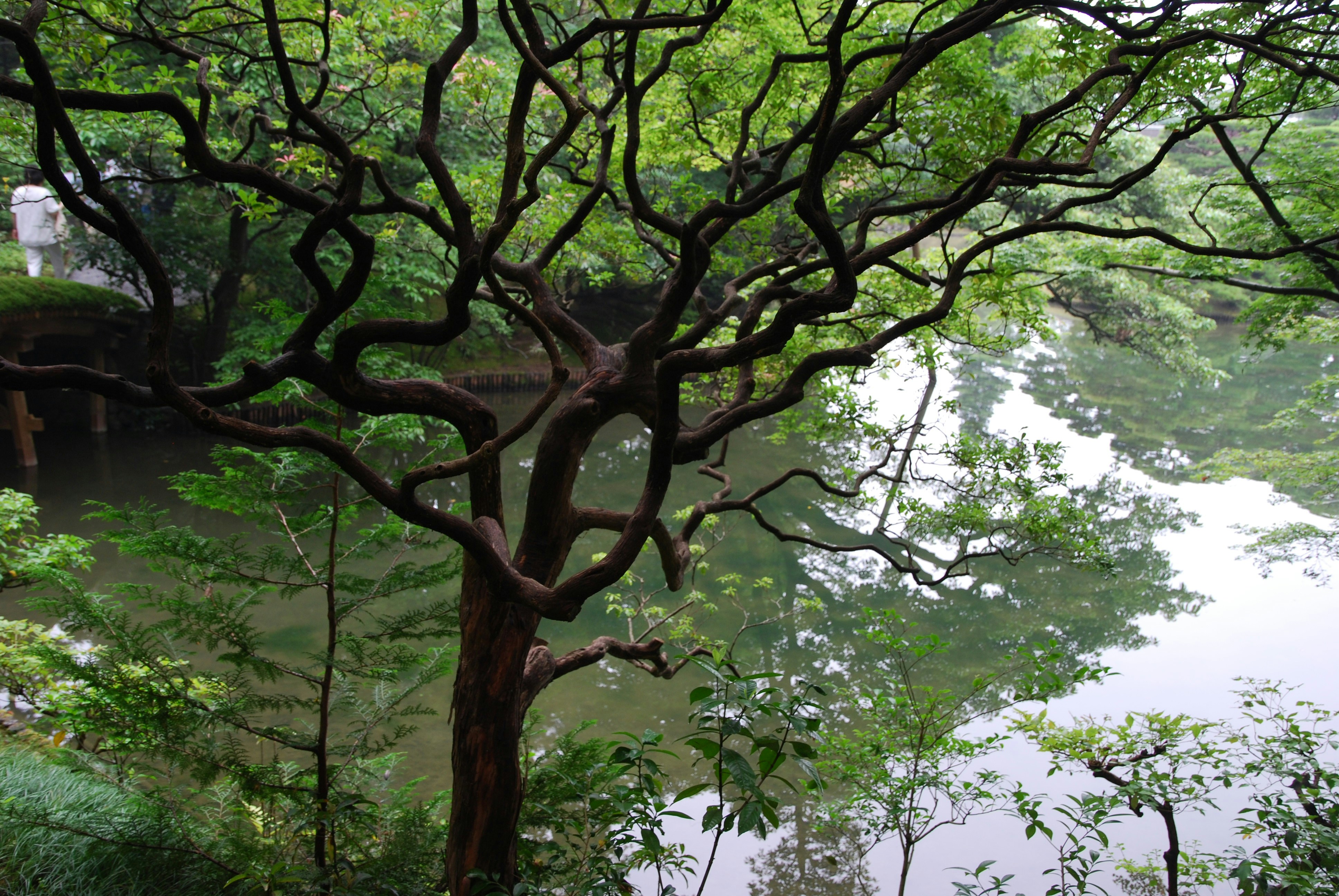 Photo by akiyo_ikeda