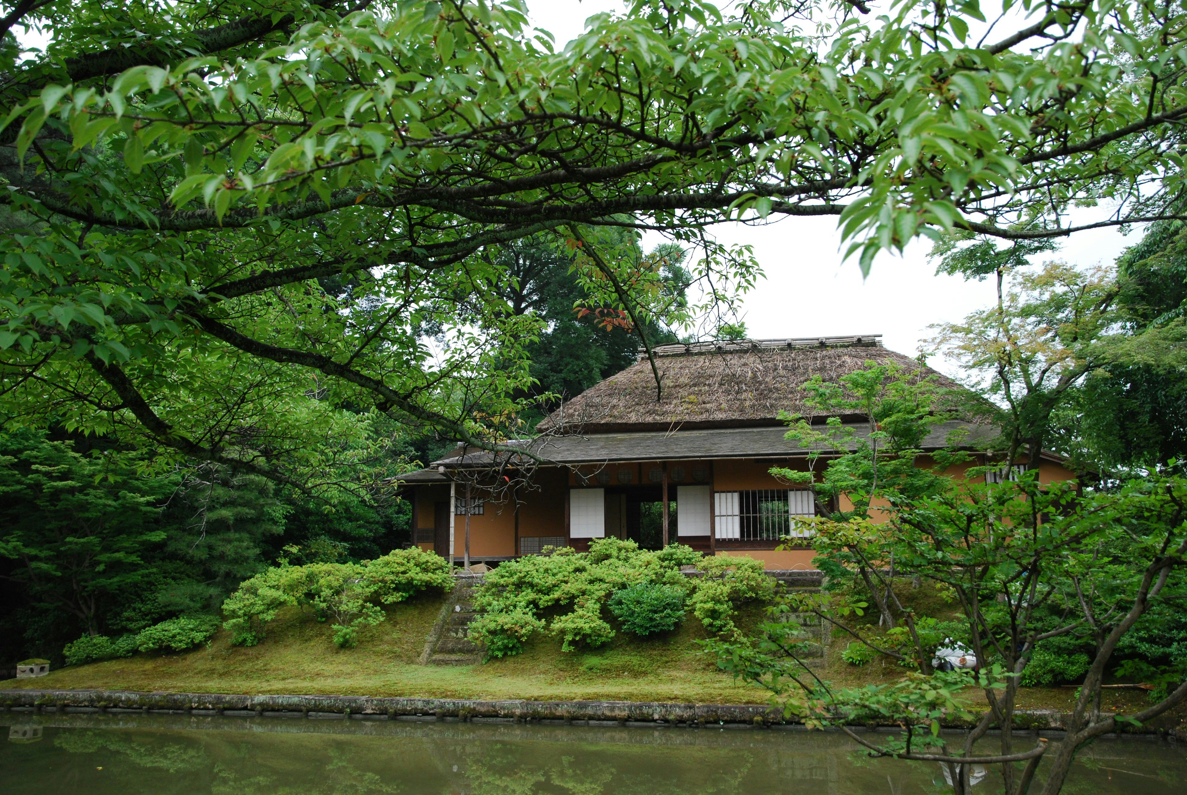 Photo by akiyo_ikeda