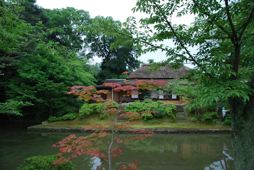 A traditional Japanese house is nestled within a lush garden, surrounded by dense greenery and trees. A tranquil pond reflects the green hues of the foliage. The house features a thatched roof and wooden exterior, blending seamlessly with the natural environment. A person is visible near the edge of the garden, adding a sense of scale.