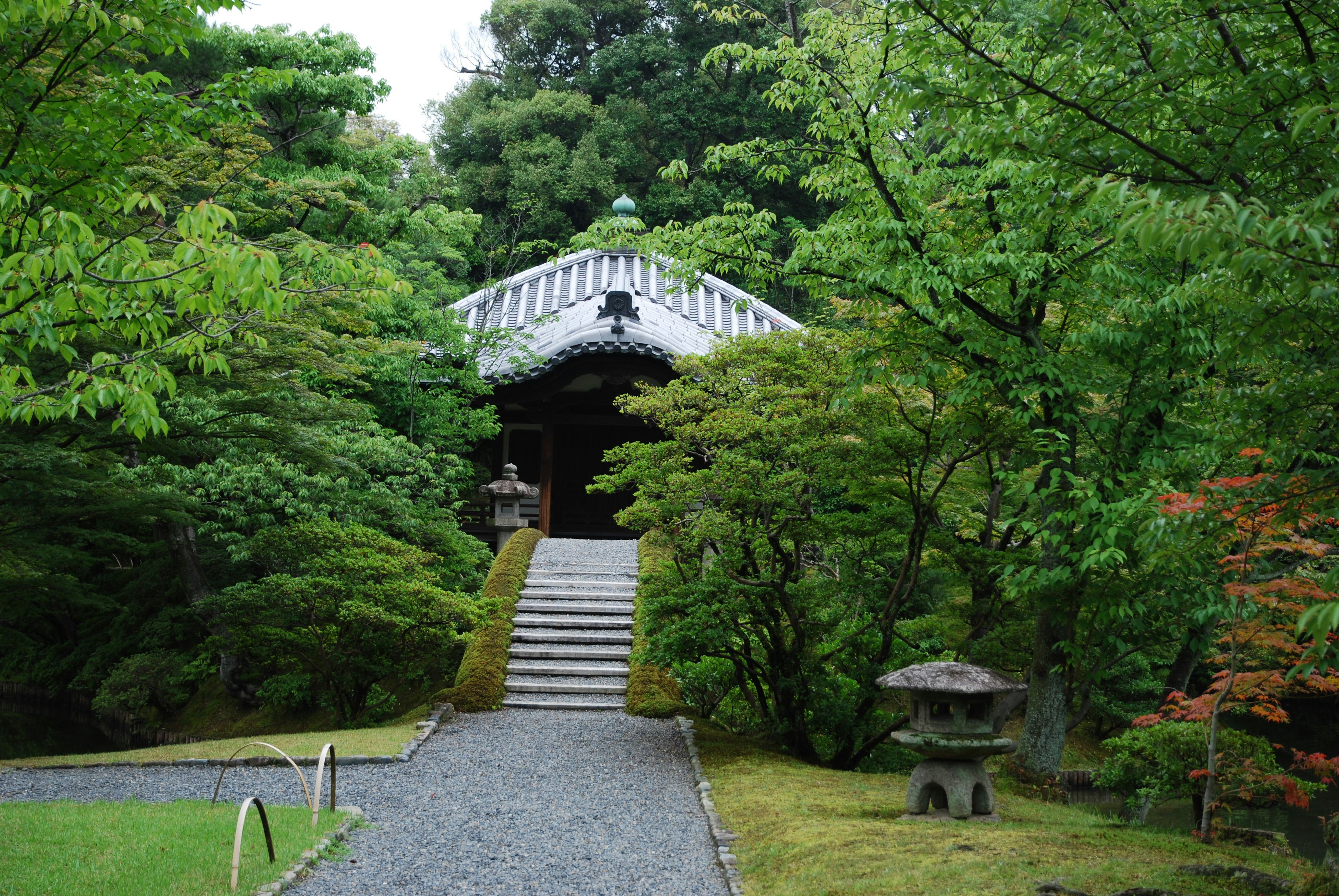 Photo by akiyo_ikeda