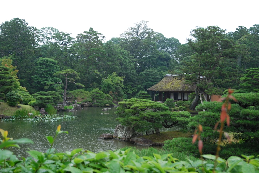 a pond surrounded by trees with a hut in the middle