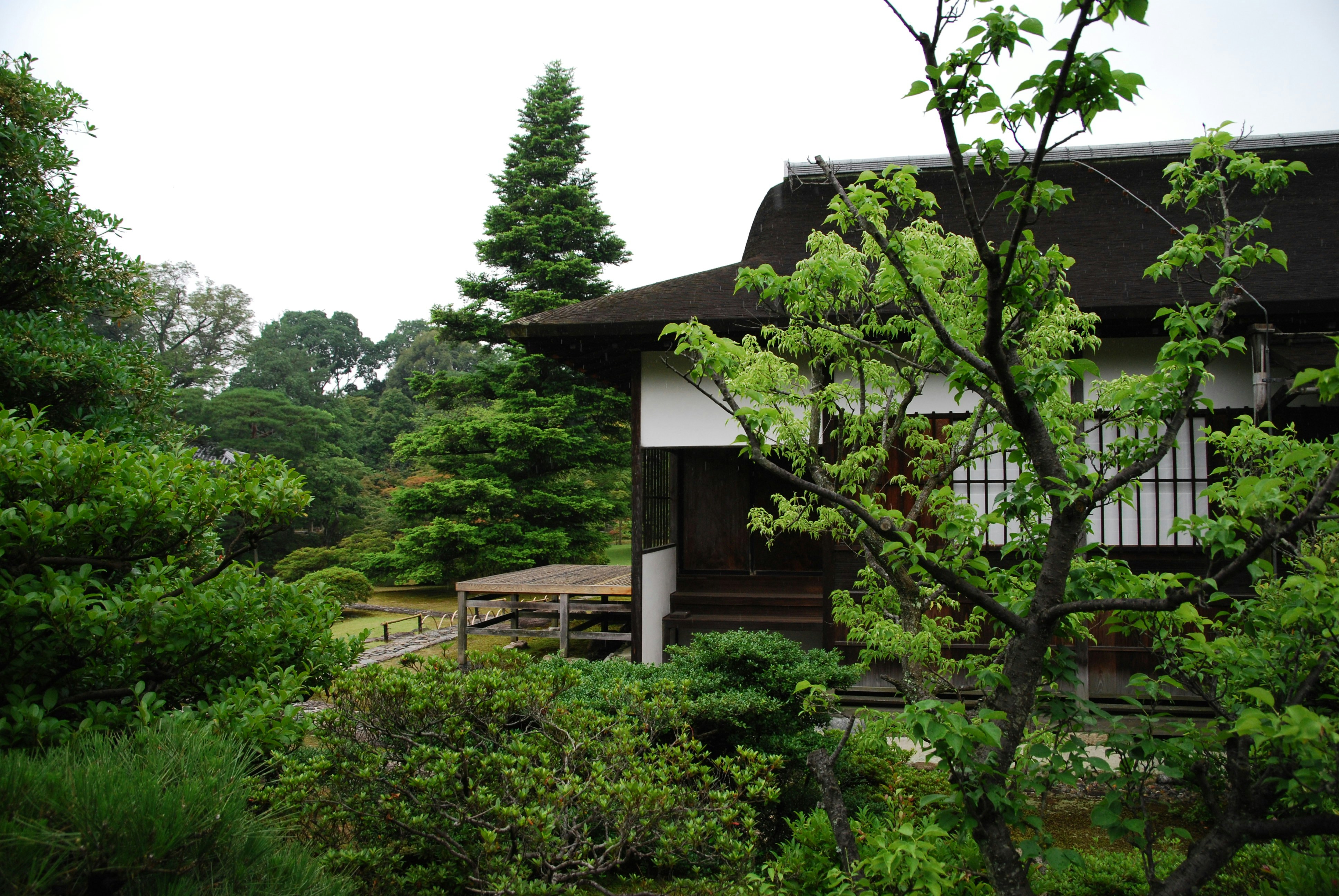 Photo by akiyo_ikeda