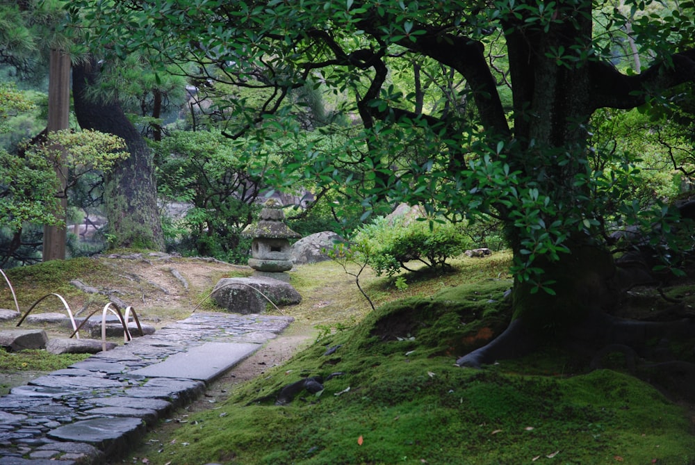 a stone path in the middle of a forest