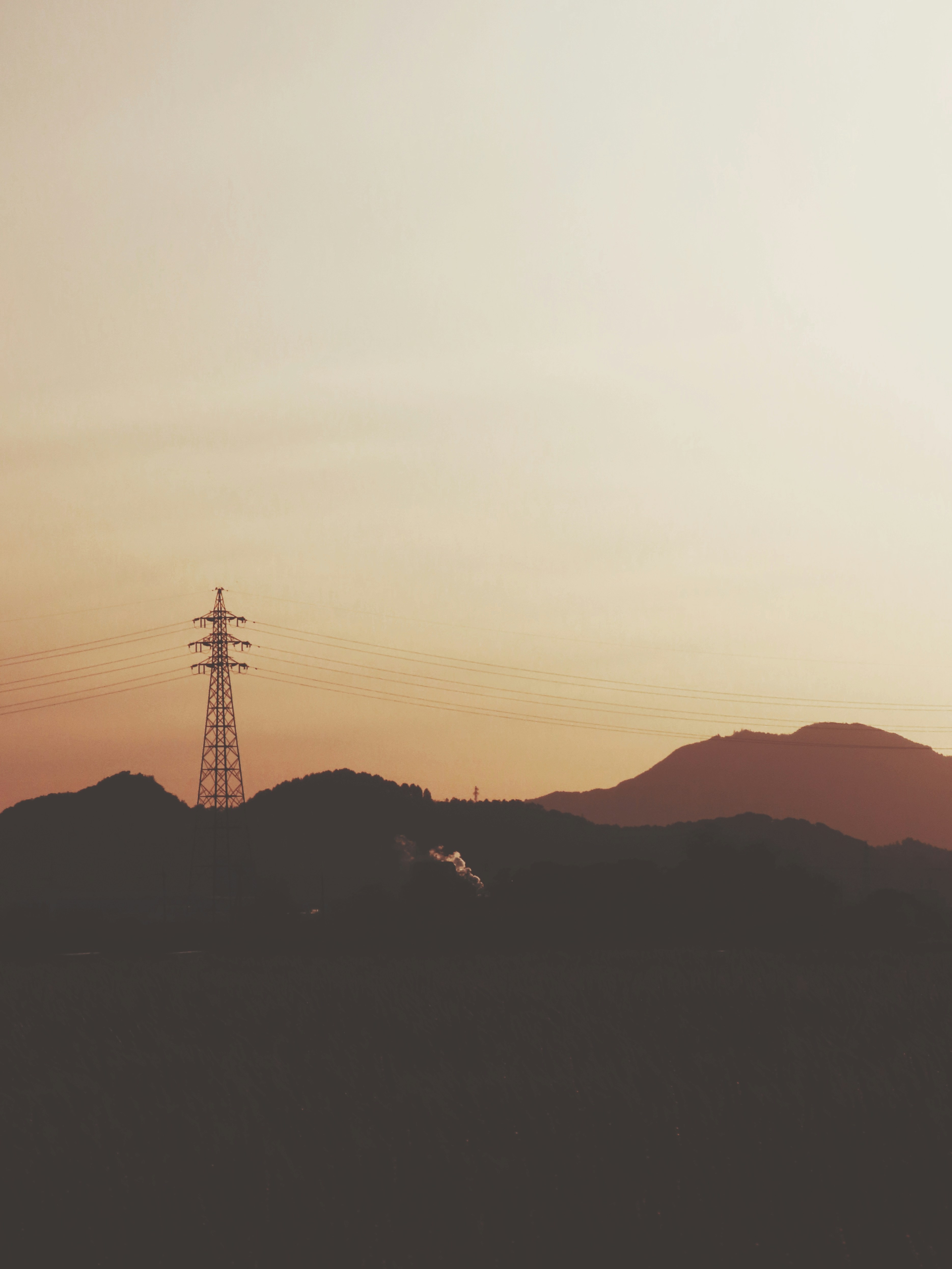 Photo by naturalphotos08