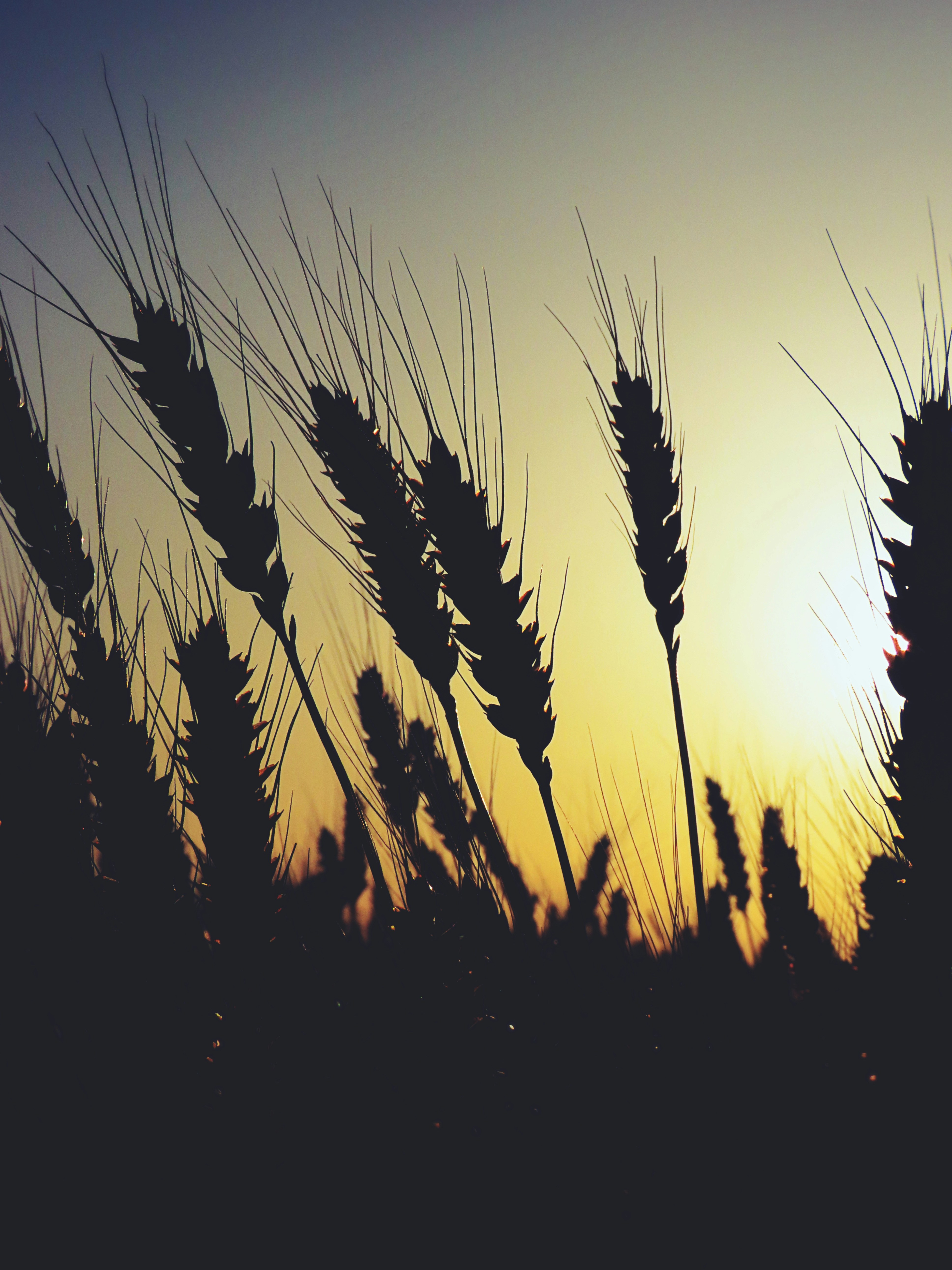 Photo by naturalphotos08