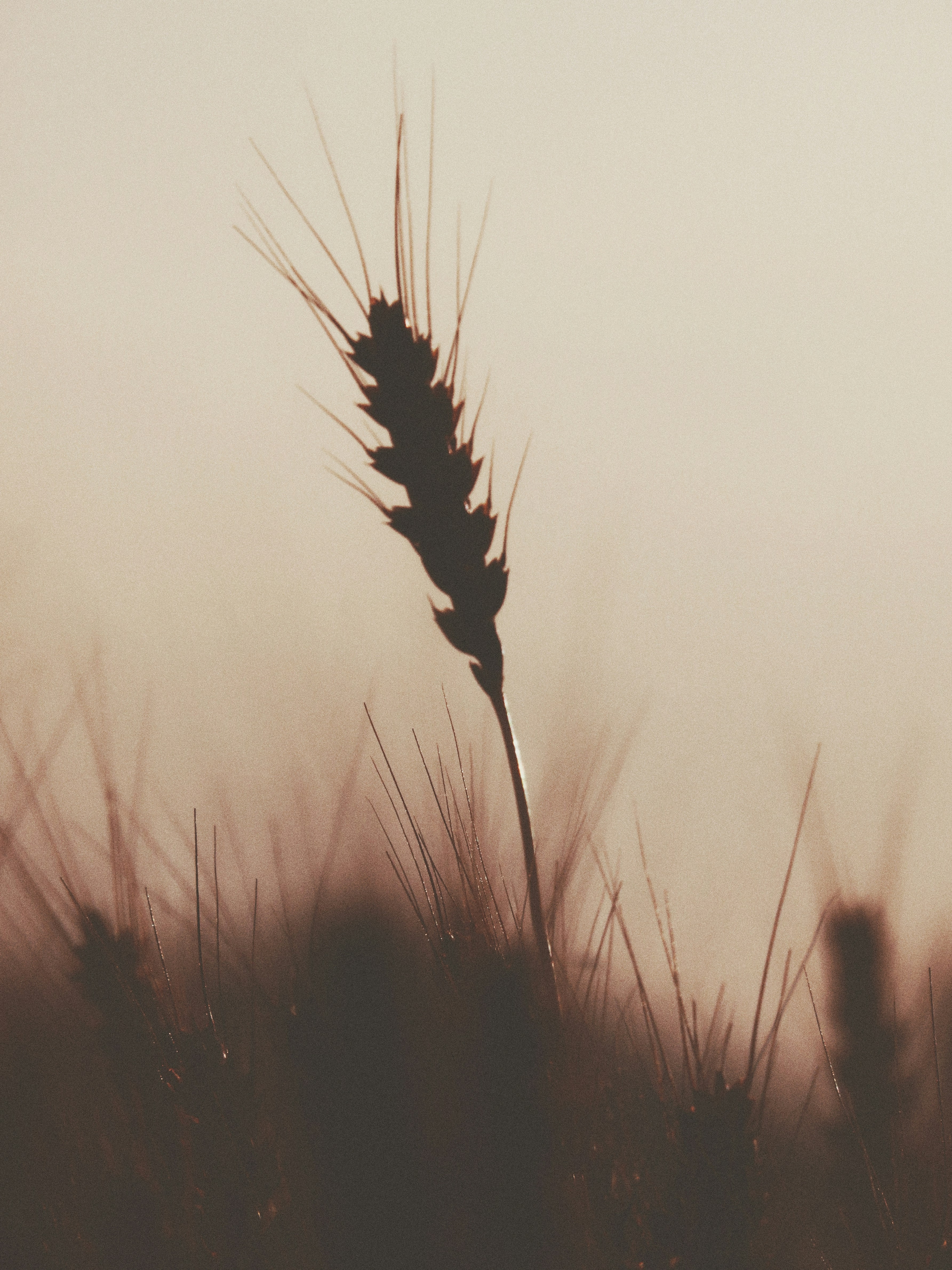 Photo by naturalphotos08