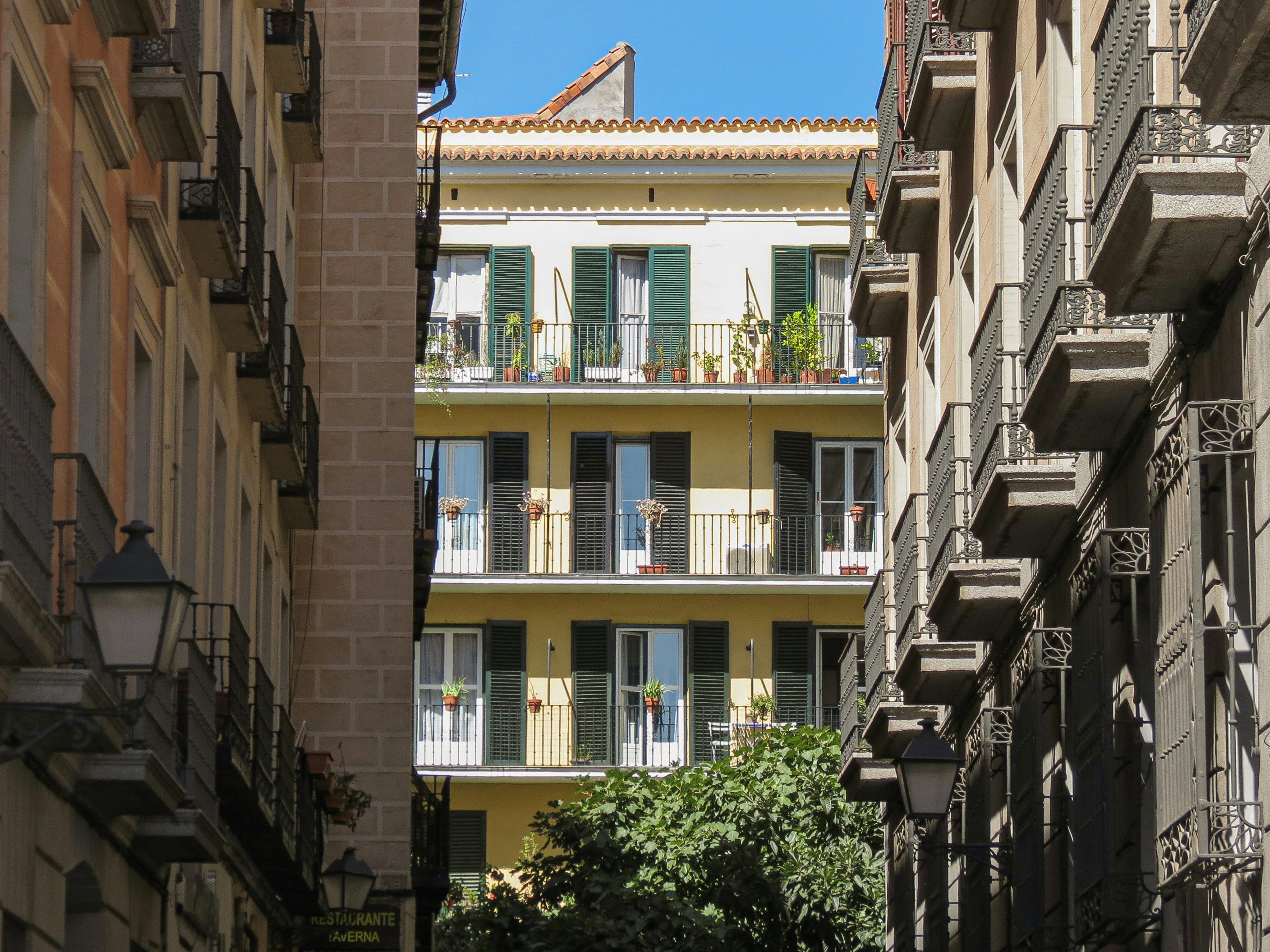 Photo by guillermotheill