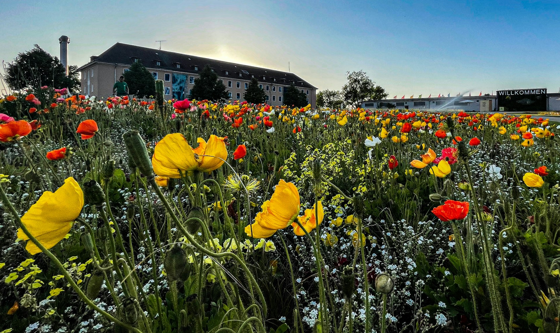 A warm, inviting photo of the museum frauenfleiß entrance with blooming flowers around the doorway on a sunny day.