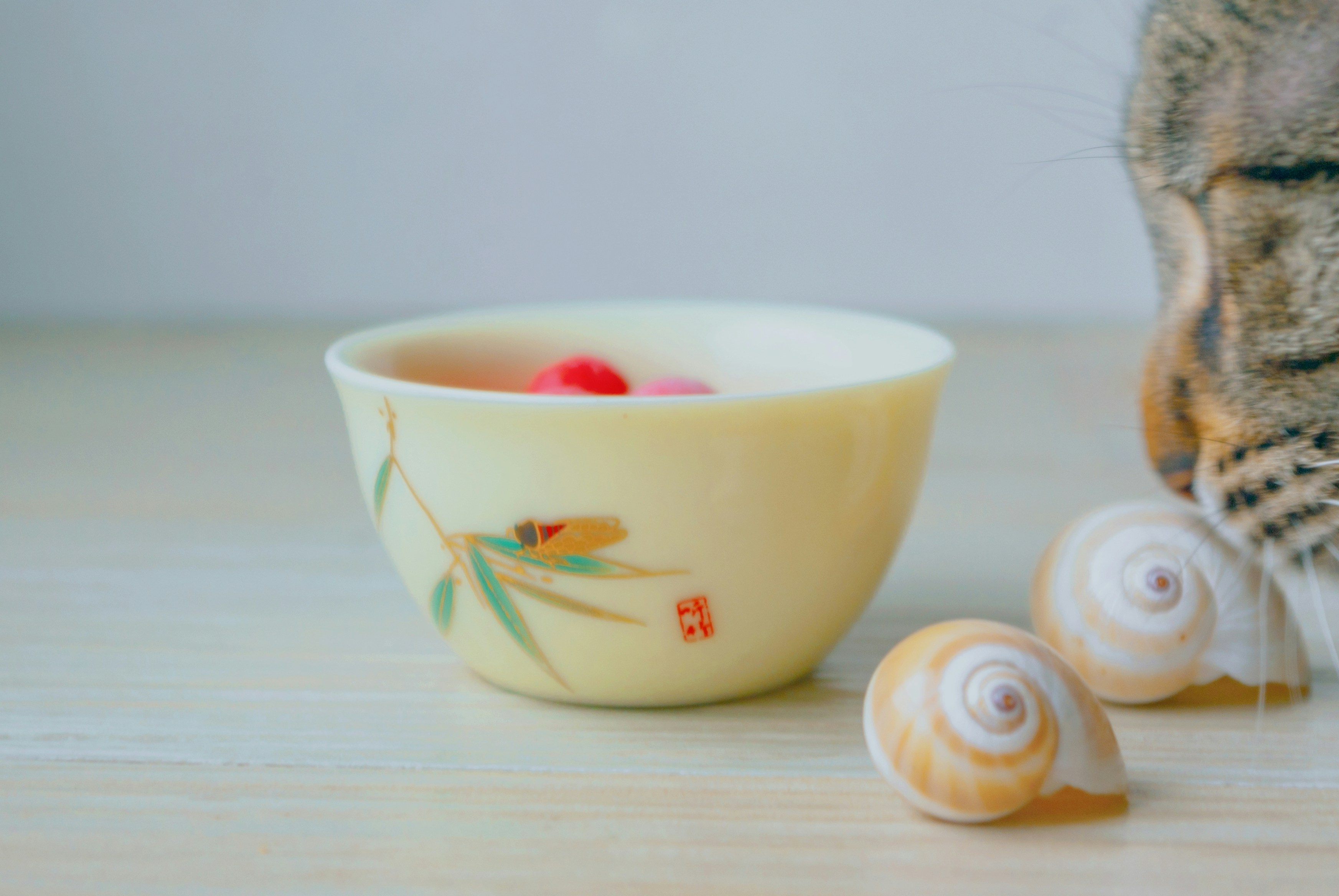 a cat sniffing a bowl of food next to a bowl of food