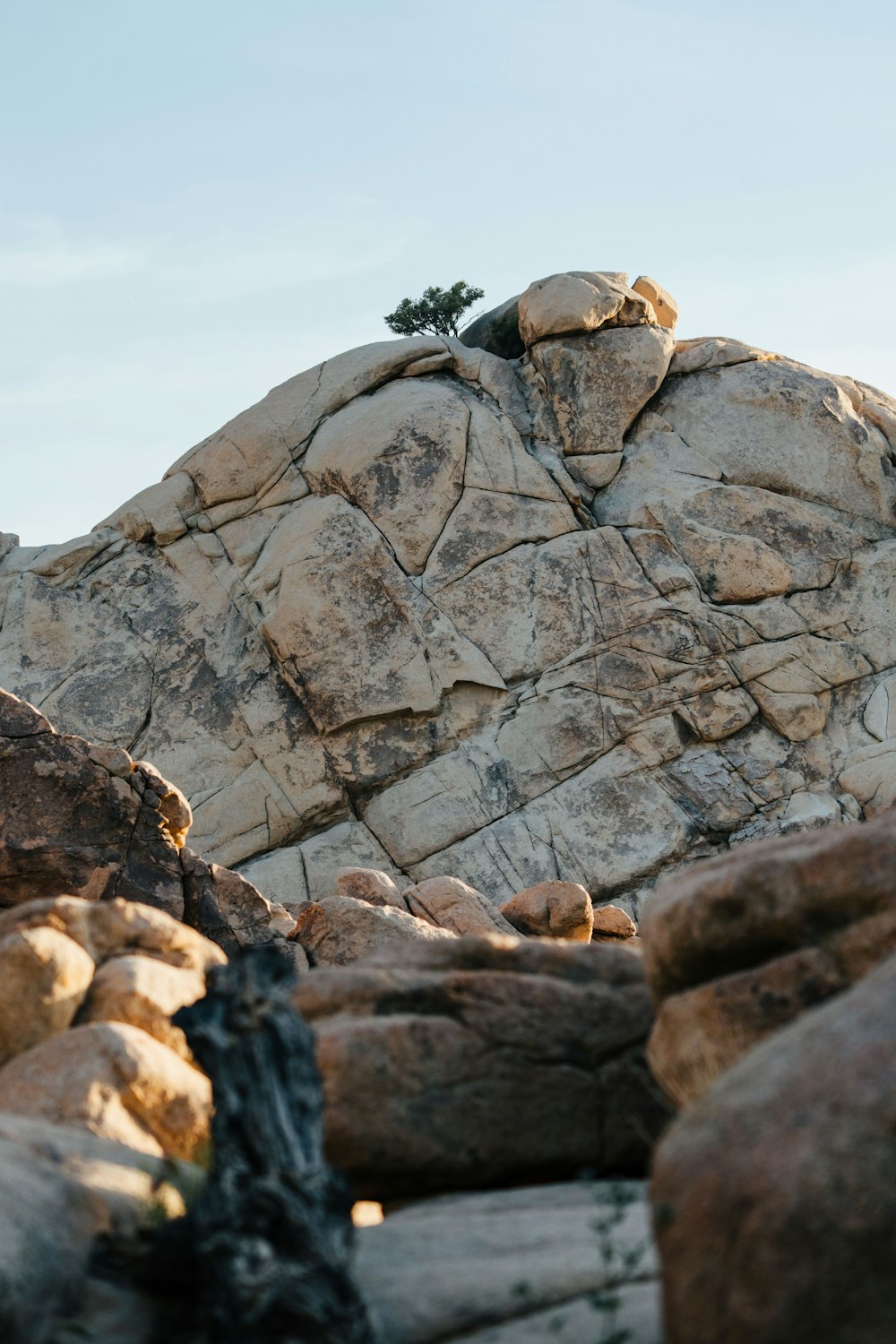 a rock formation with a small tree on top of it