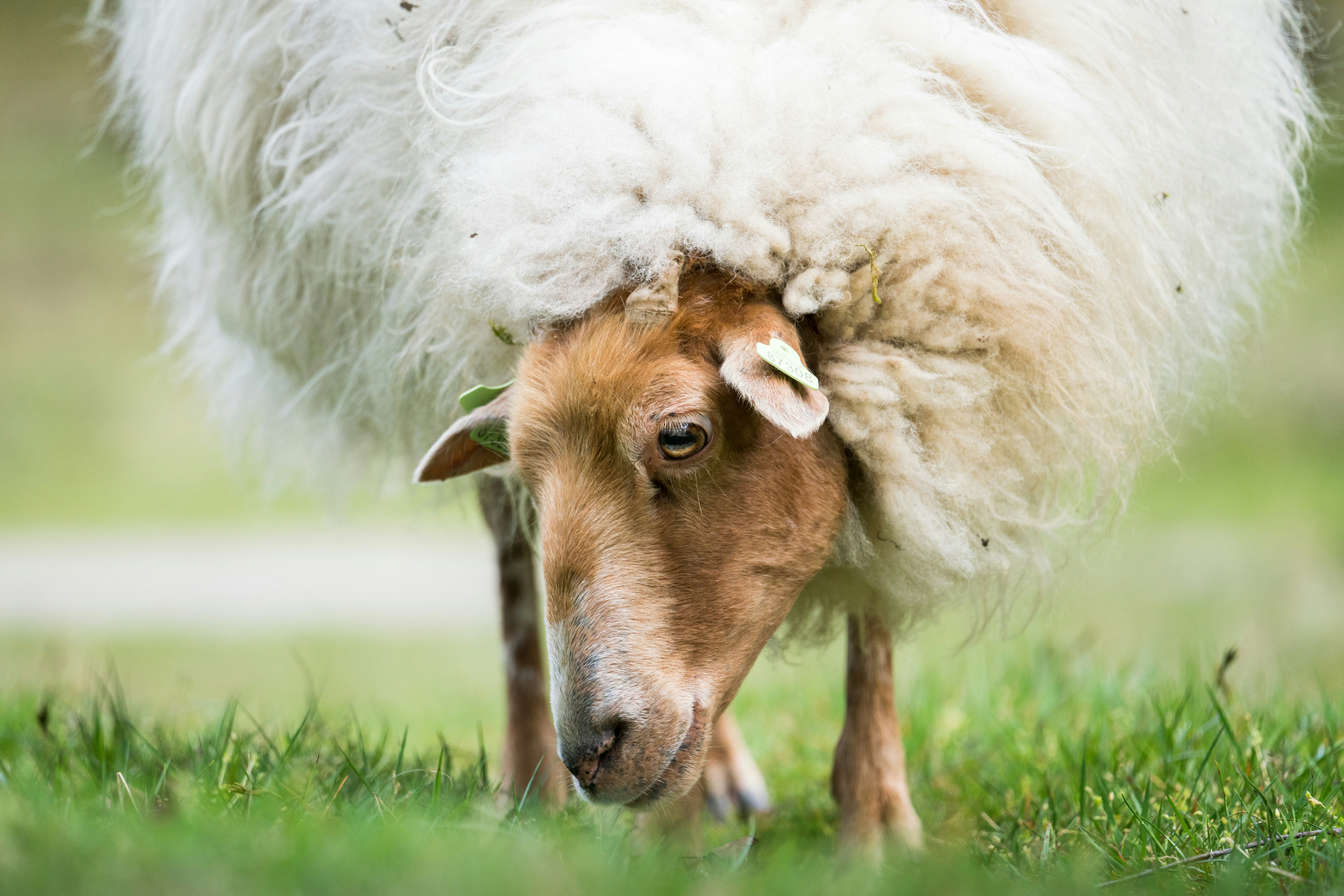 Photo by brotakesphotos