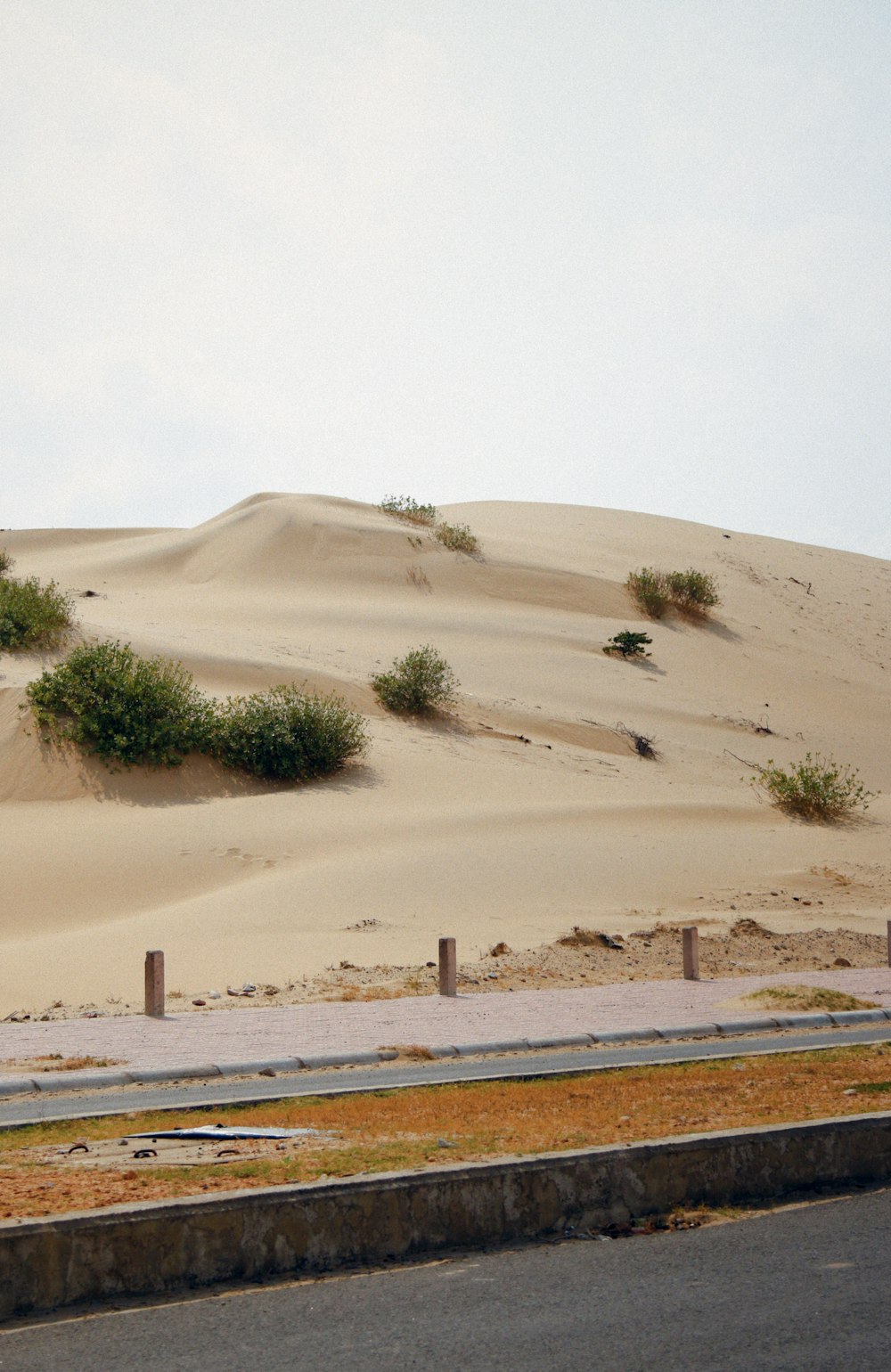 a stop sign in the middle of a desert