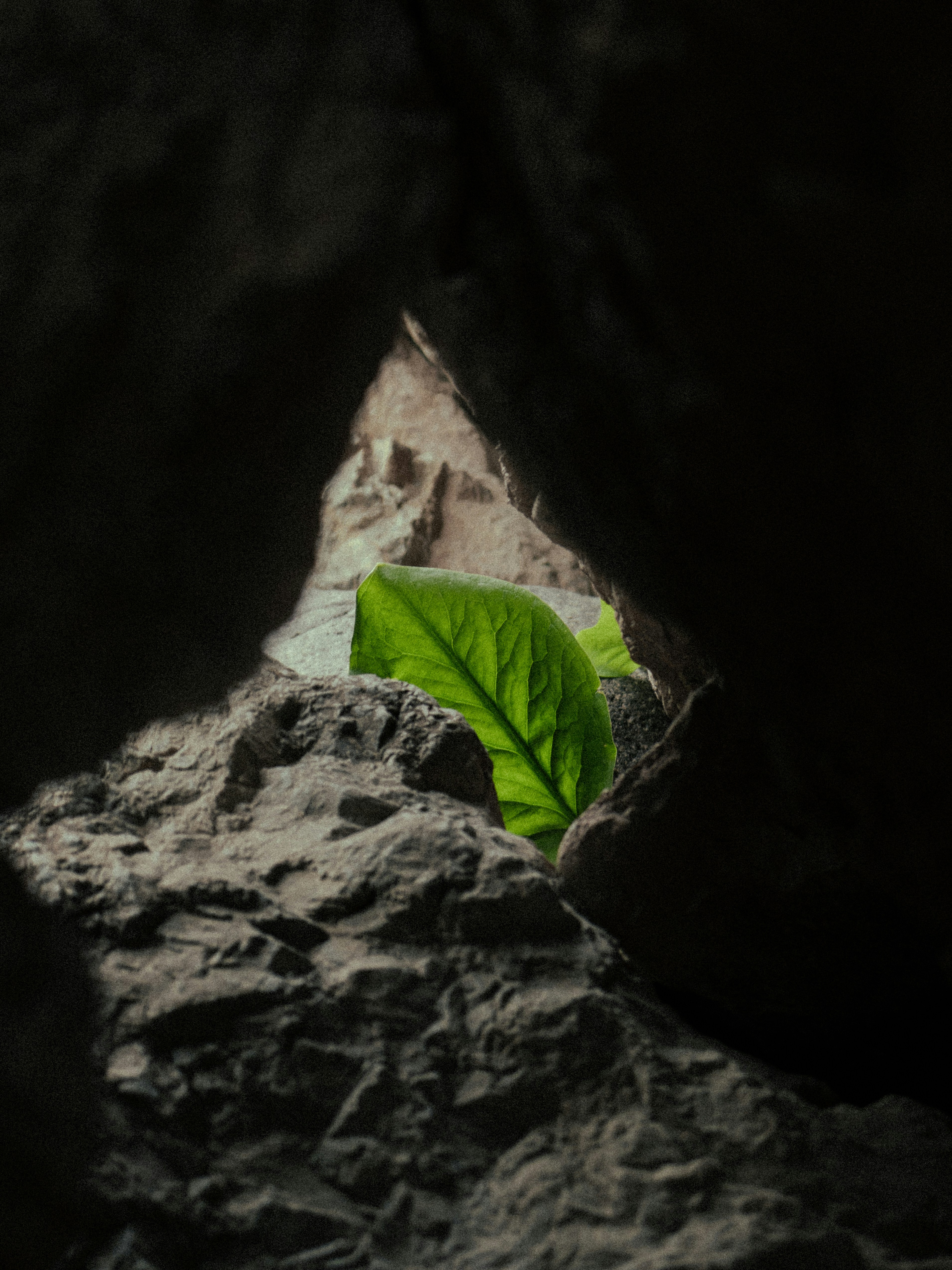 photo-1685084149410-df5b409c51a4?ixid=M3wxMjA3fDB8MXxzZWFyY2h8NjB8fHRyeSUyMGdwdHxlbnwwfHx8fDE3MzcwMzQwMjl8MA%5Cu0026ixlib=rb-4.0.3