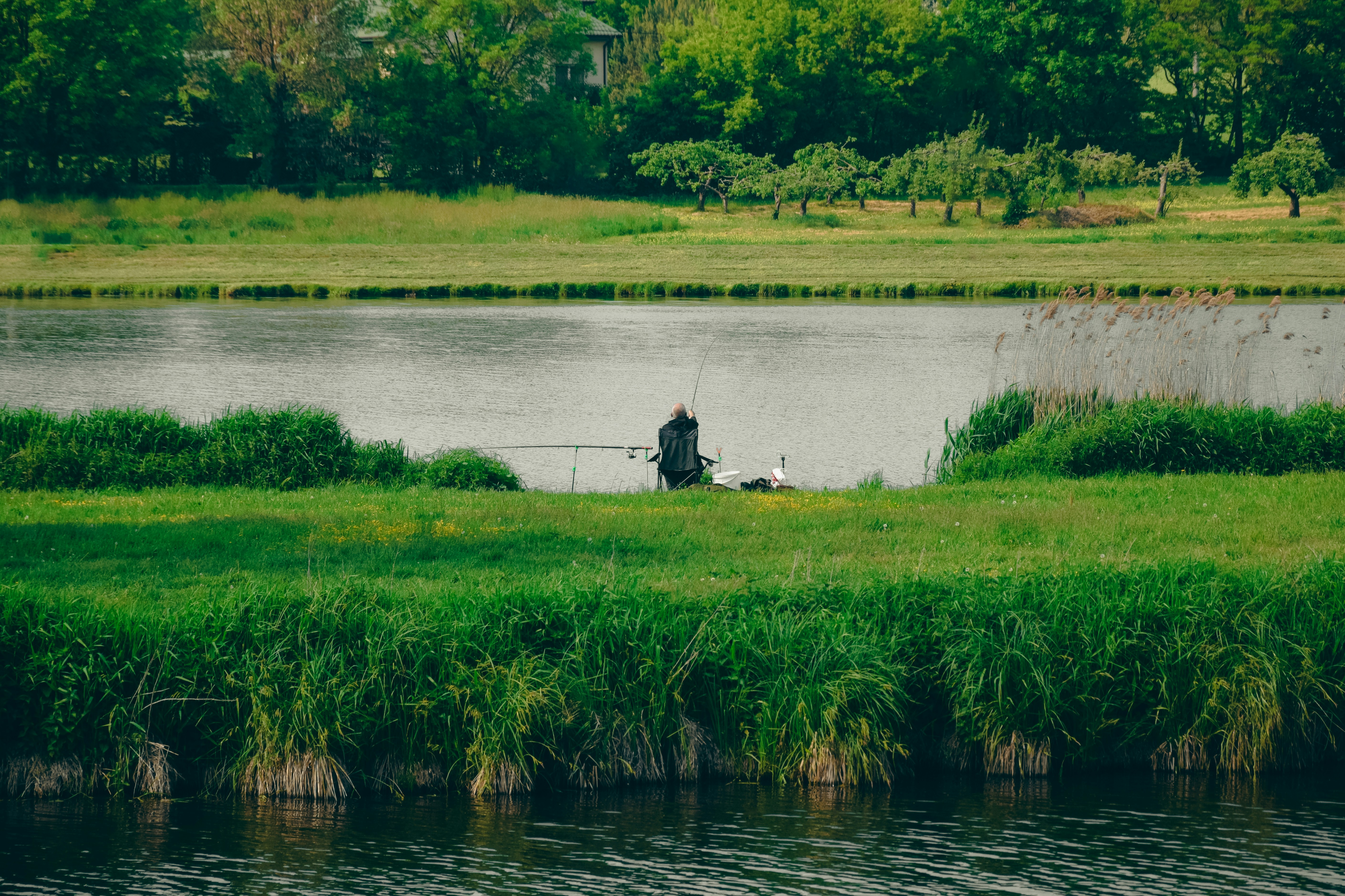 Photo by dominikklos