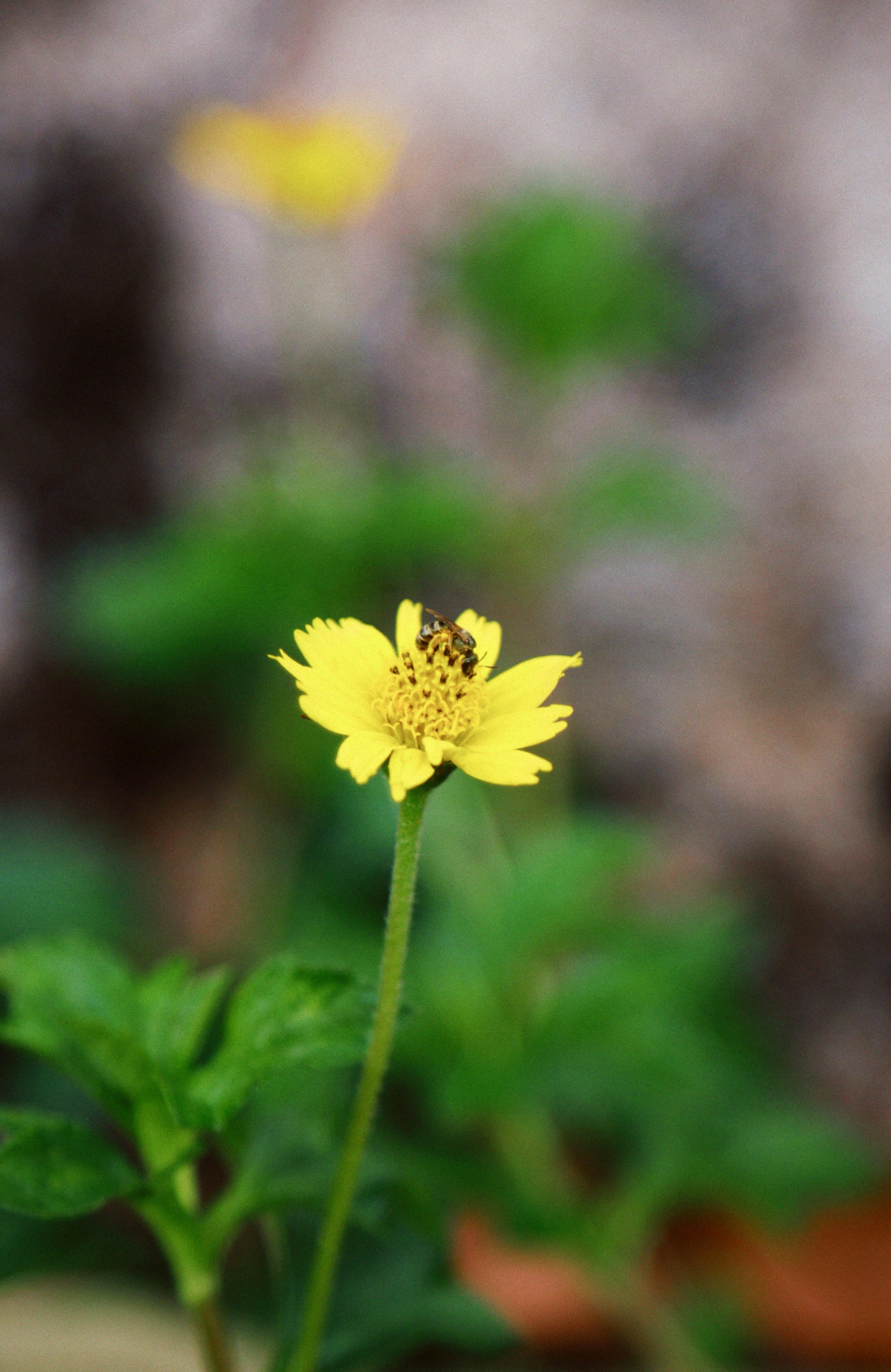 Photo by theotherdreams