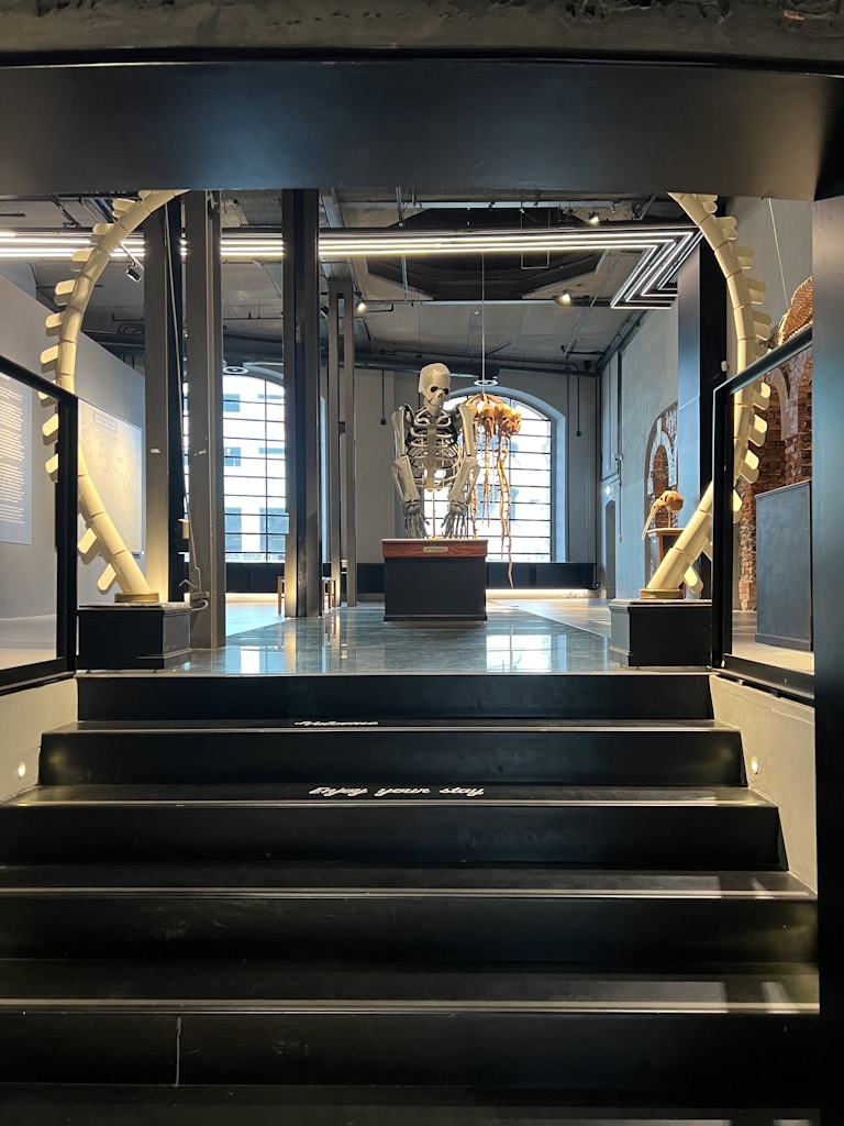 Bones, Muscles, and Movement