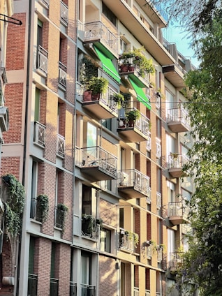 Charming vintage apartment with hardwood floors and a sunny balcony overlooking trees.