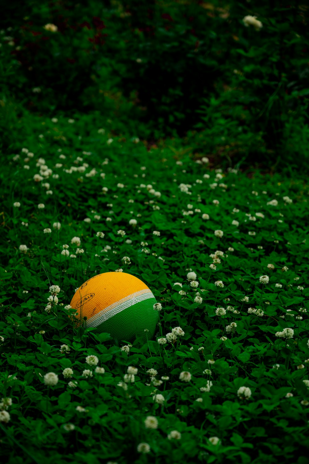 una palla seduta in mezzo a un campo di fiori
