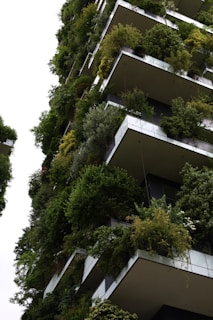 A high-rise building with numerous balconies covered in dense greenery. Each balcony is adorned with a variety of plants and trees, creating a vertical garden effect. The building's exterior contrasts with the rich green foliage, contributing to an overall aesthetic that blends architecture with nature.