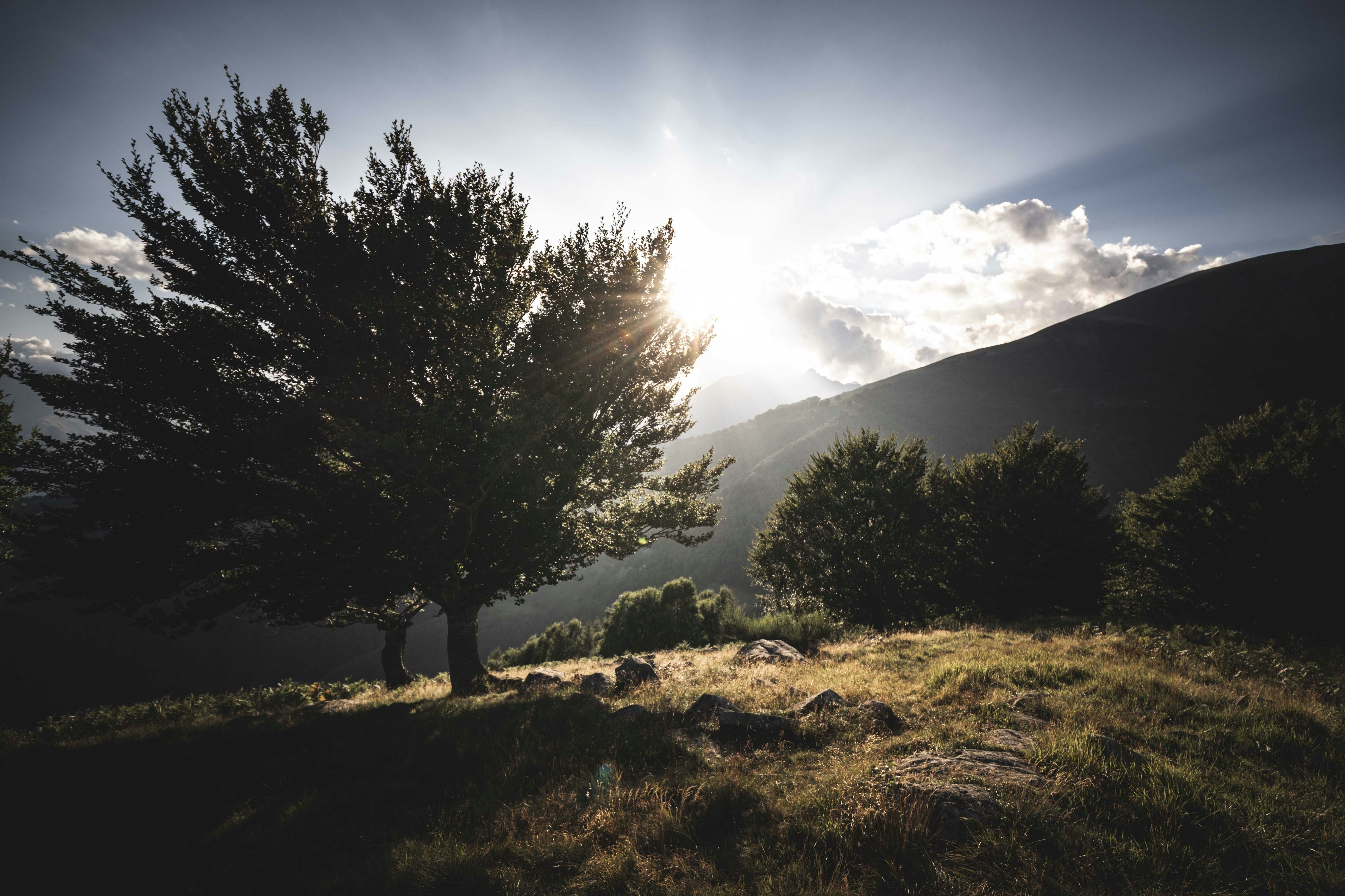 Photo by francesco_ungaro