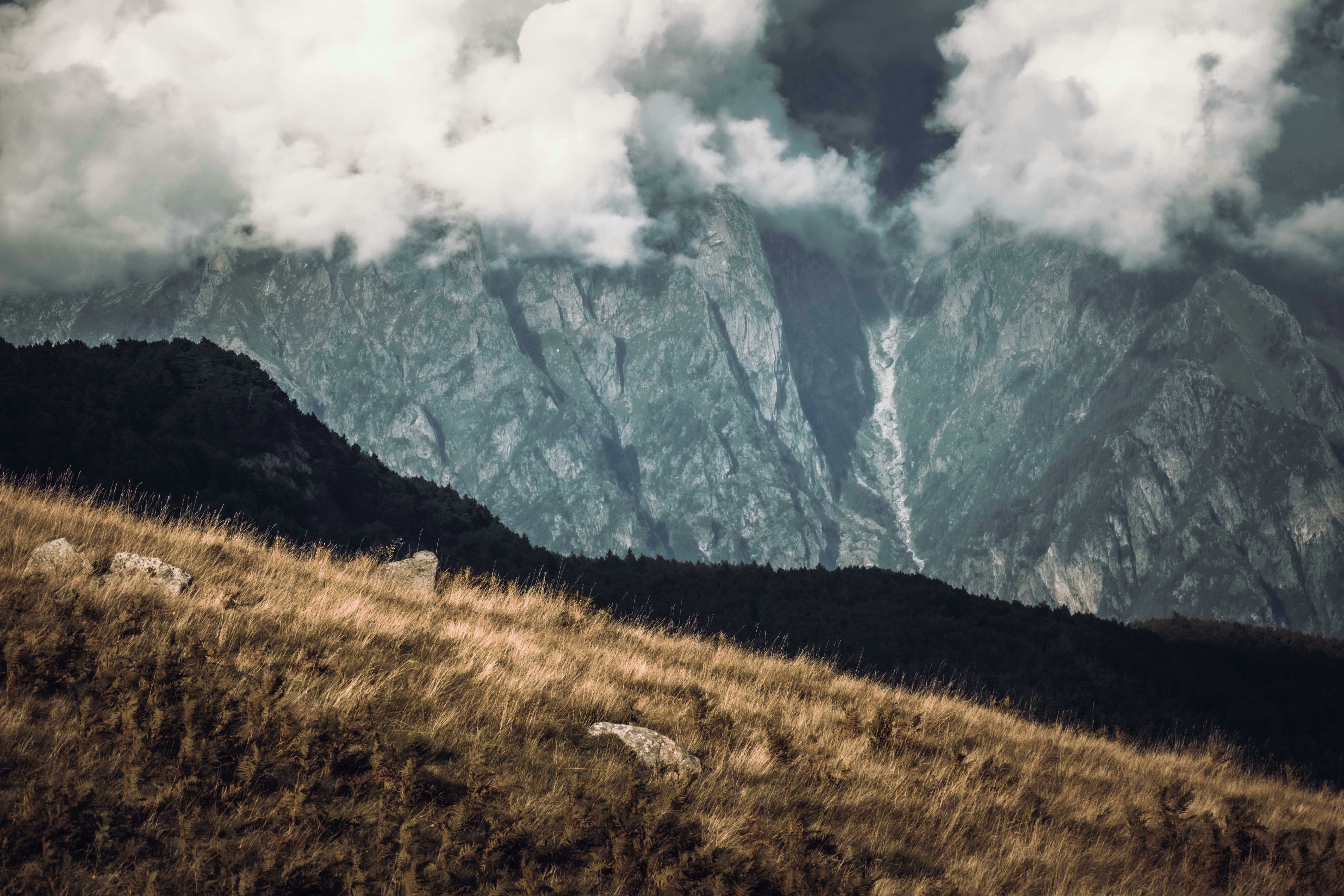 Photo by francesco_ungaro