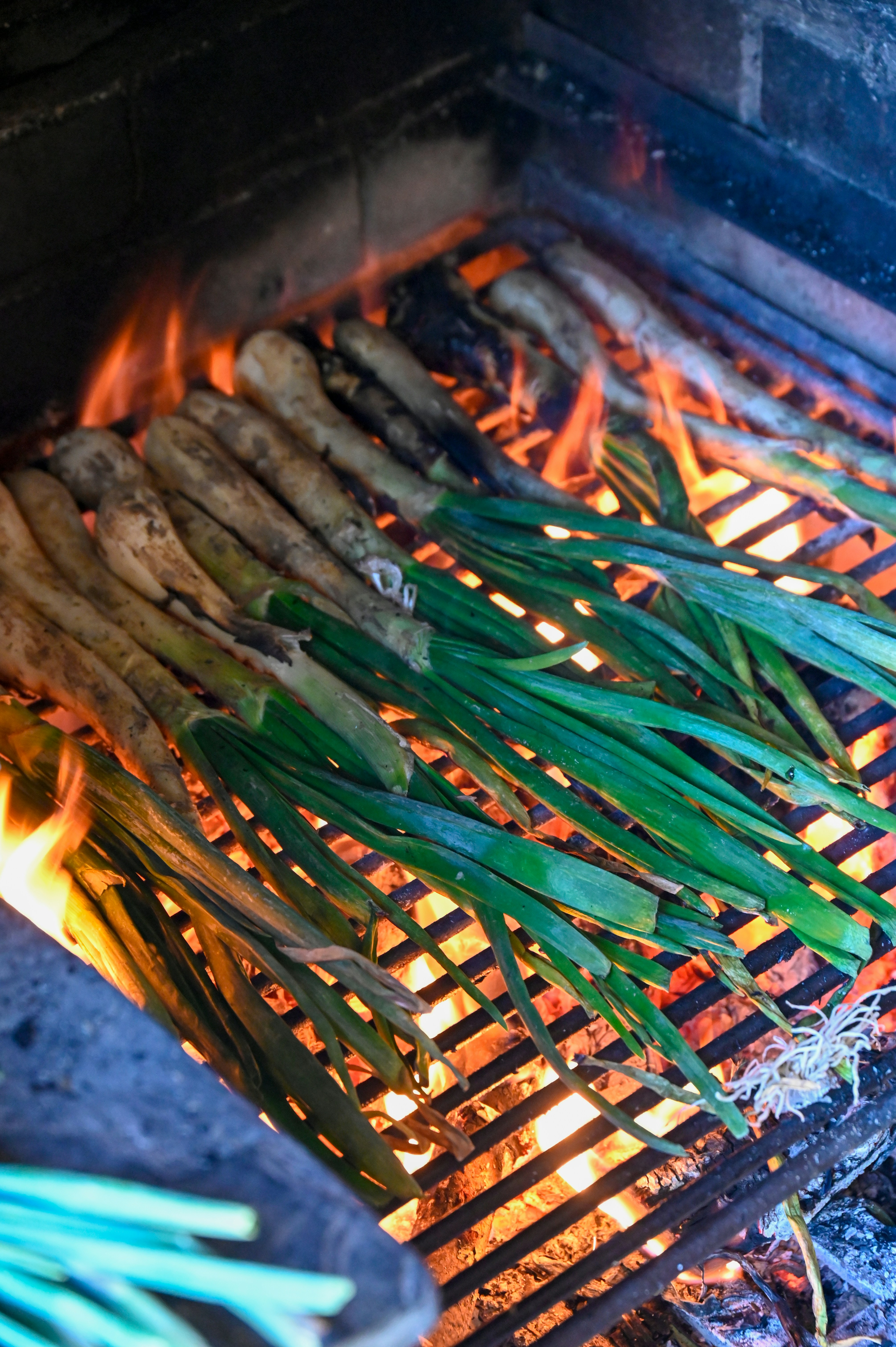 Puerros y cebolletas tiernas asándose sobre la parrilla con llama viva