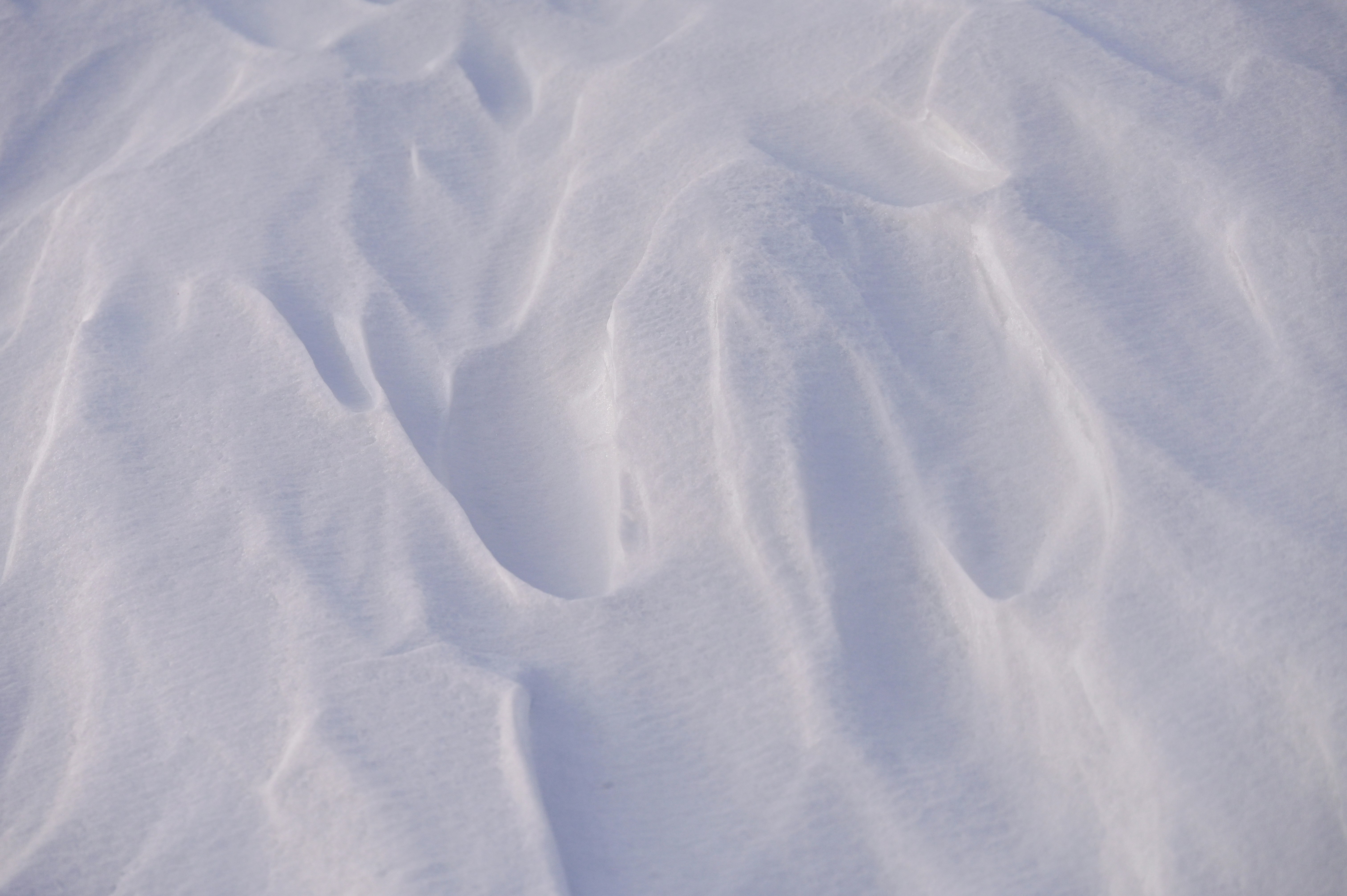 Photo by ferranventura