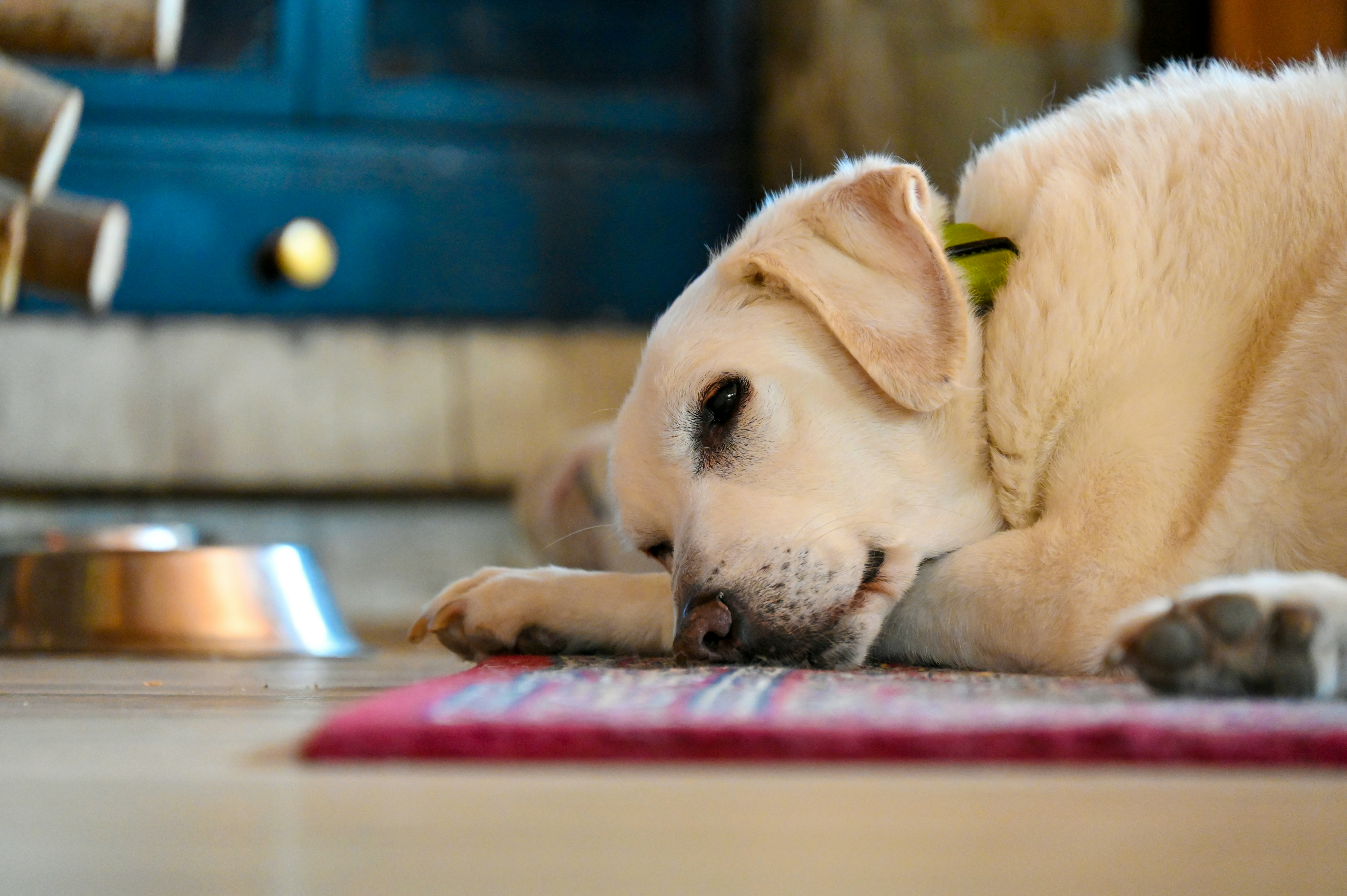 Photo by ferranventura