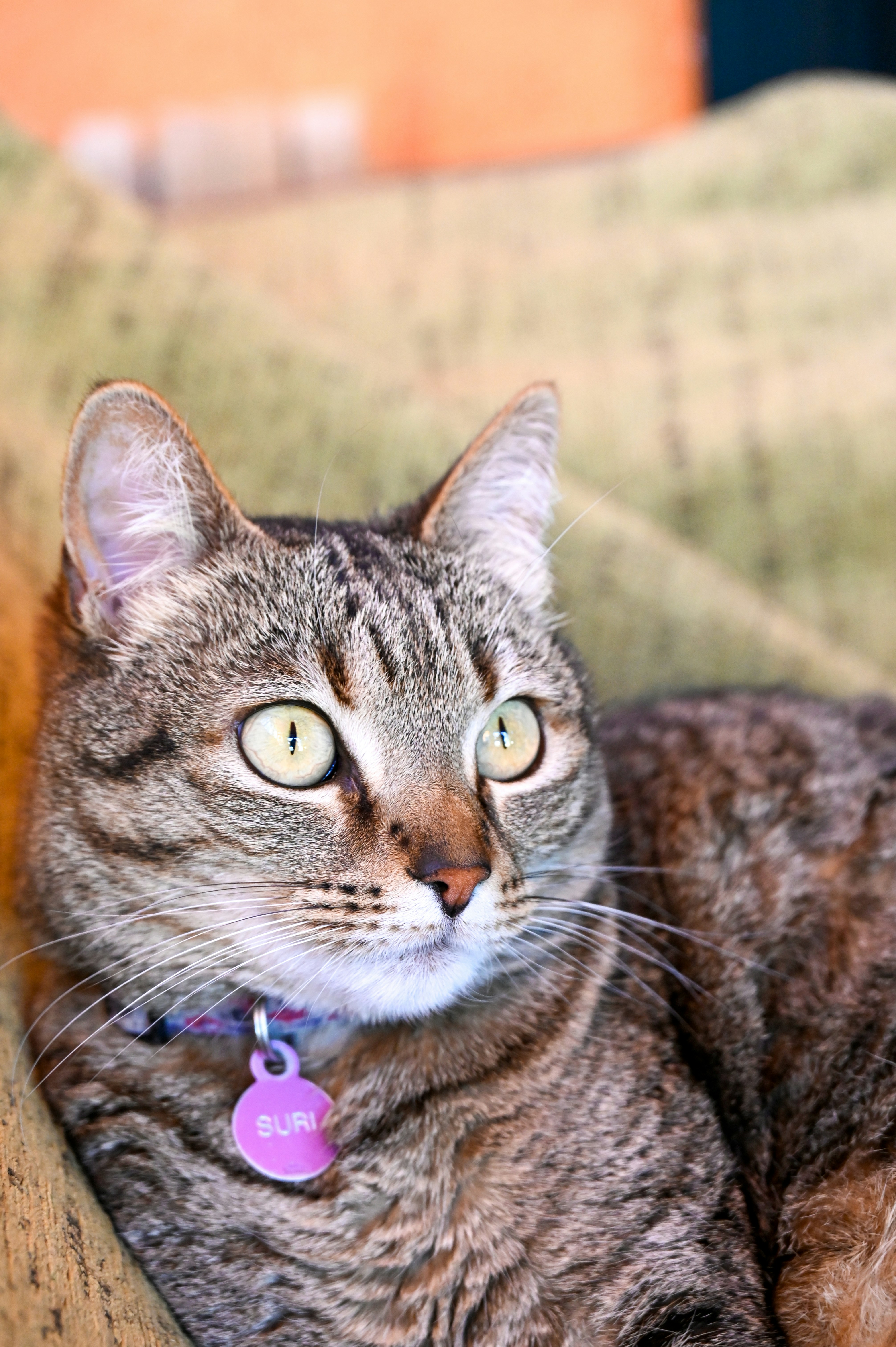 Photo by ferranventura