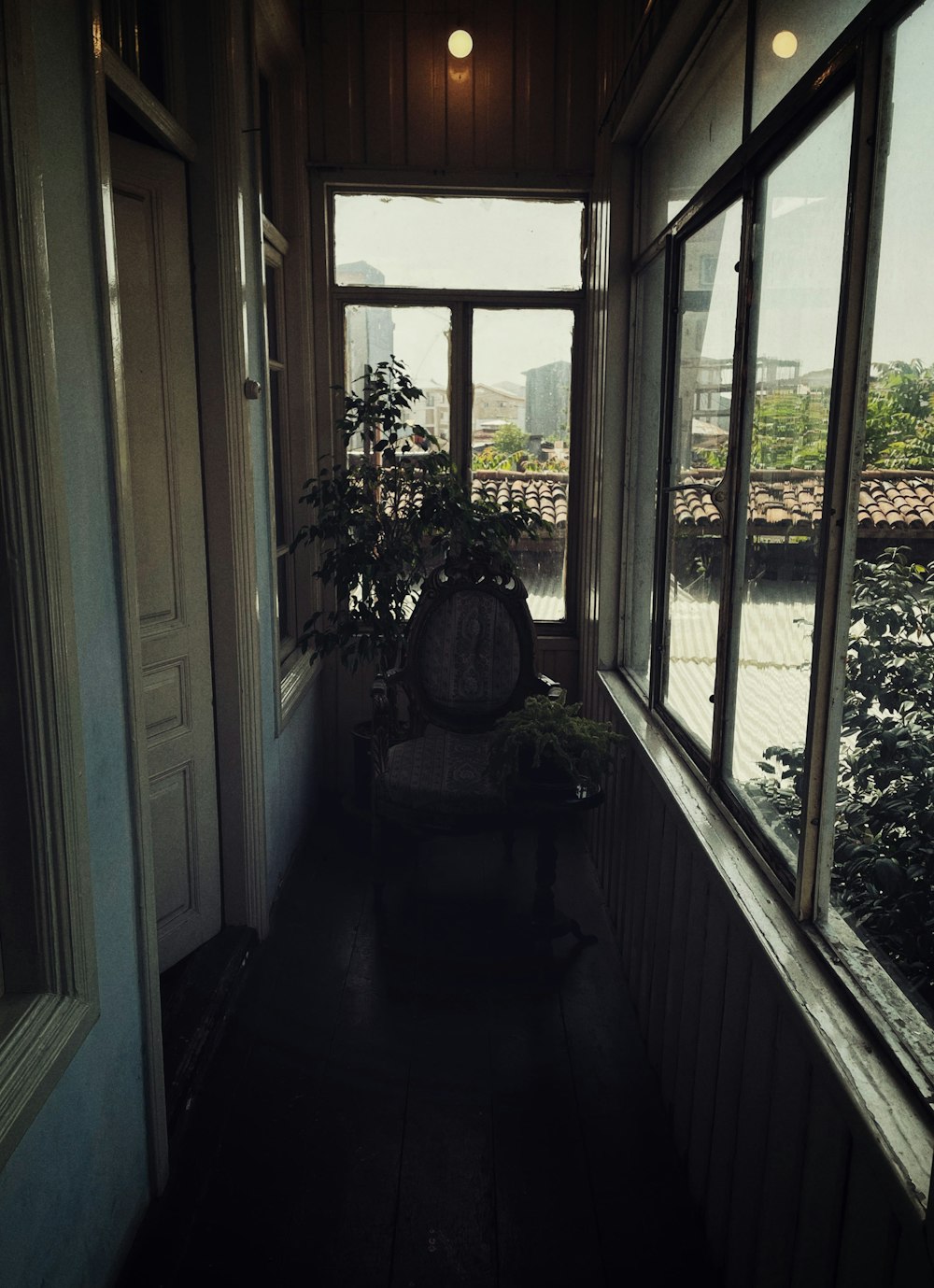 a room with a chair and a potted plant