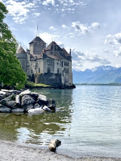 The iconic medieval castle of Chillon on the shores of Lake Geneva surrounded by calm water and lush greenery.