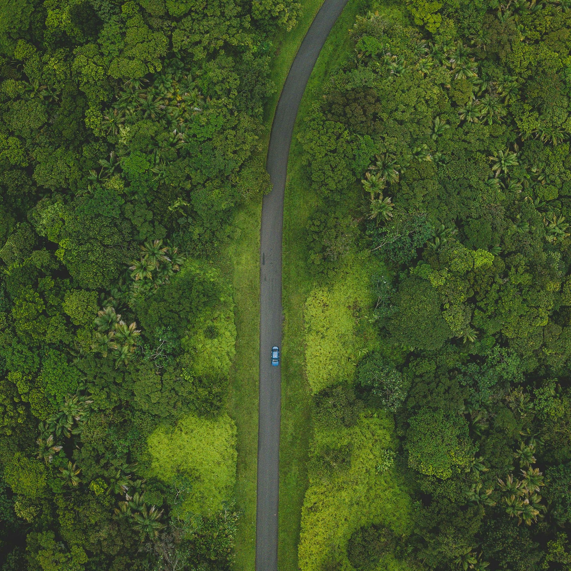 an aerial view of a road in the middle of a forest